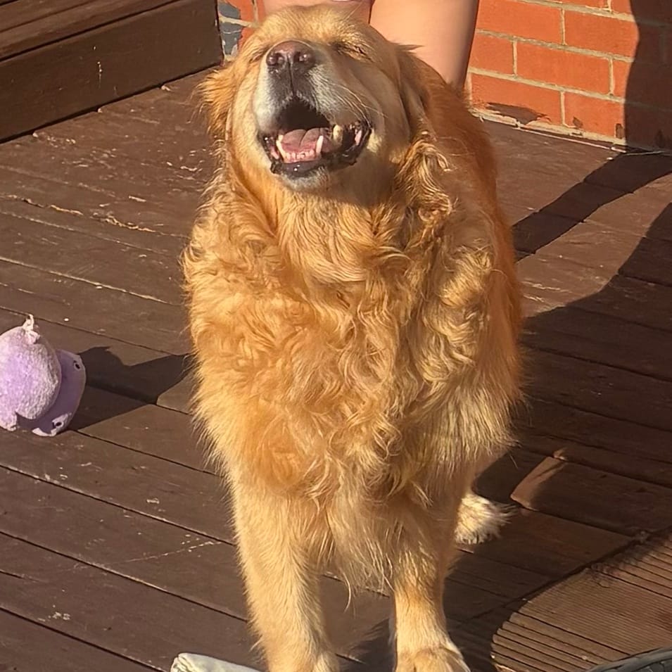 Barney