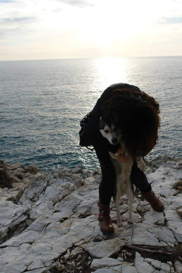 image-8