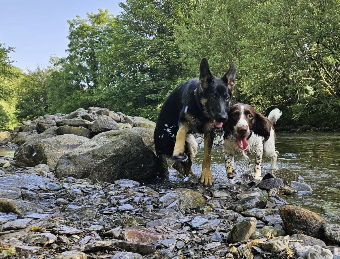 image-10