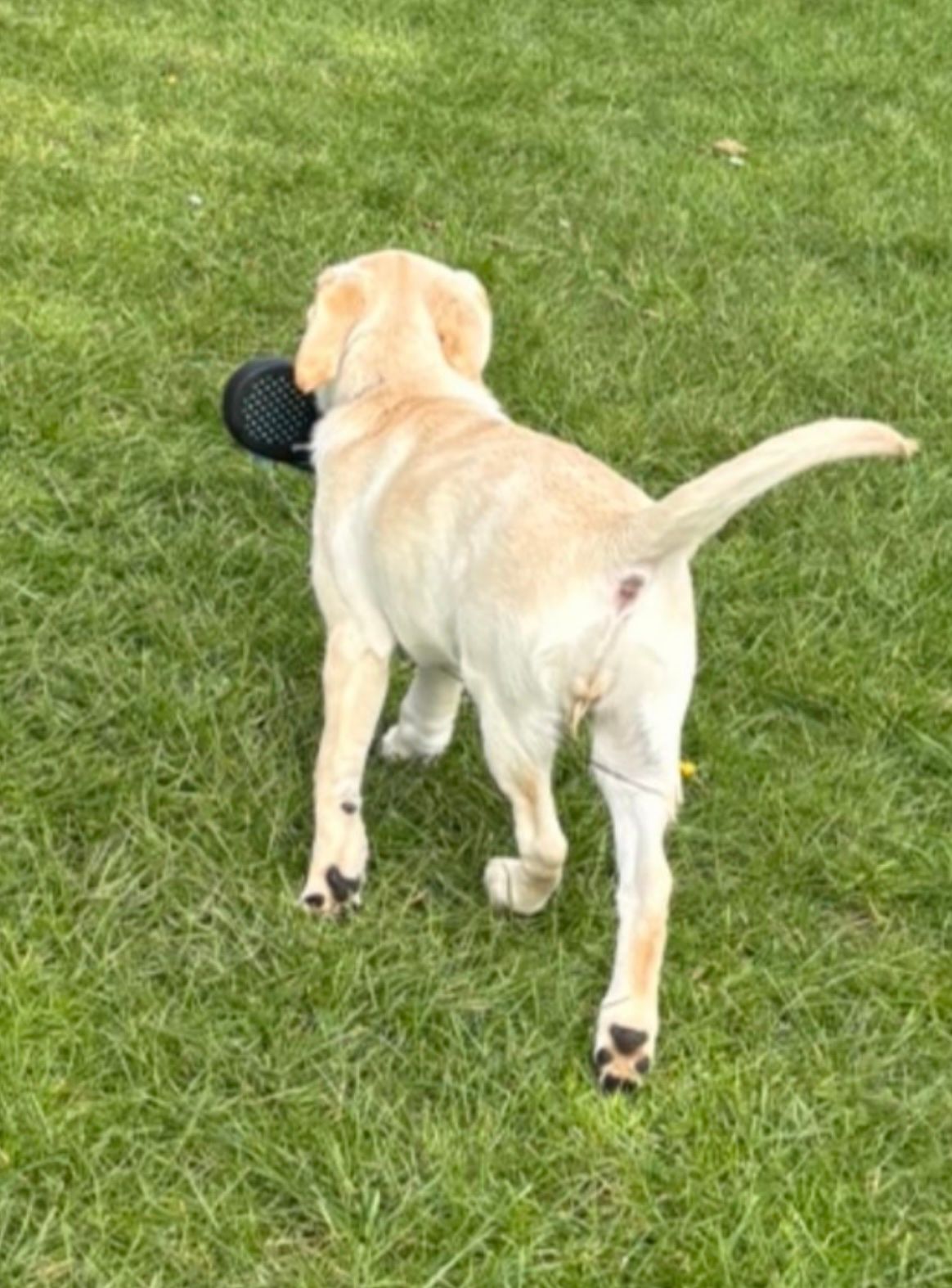 image-11