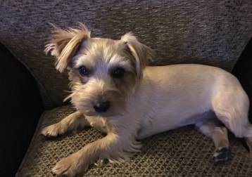 Riley