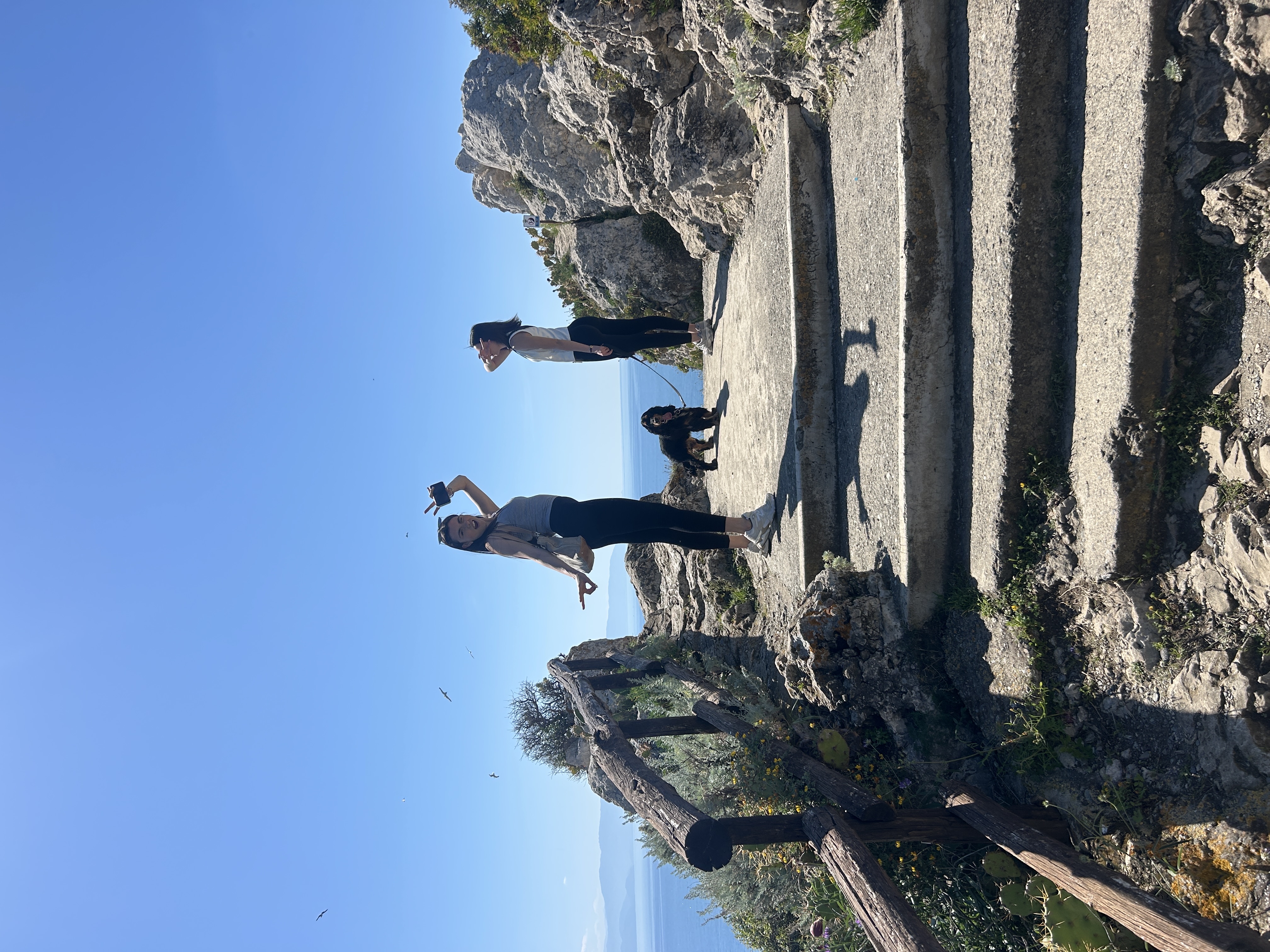 image-2