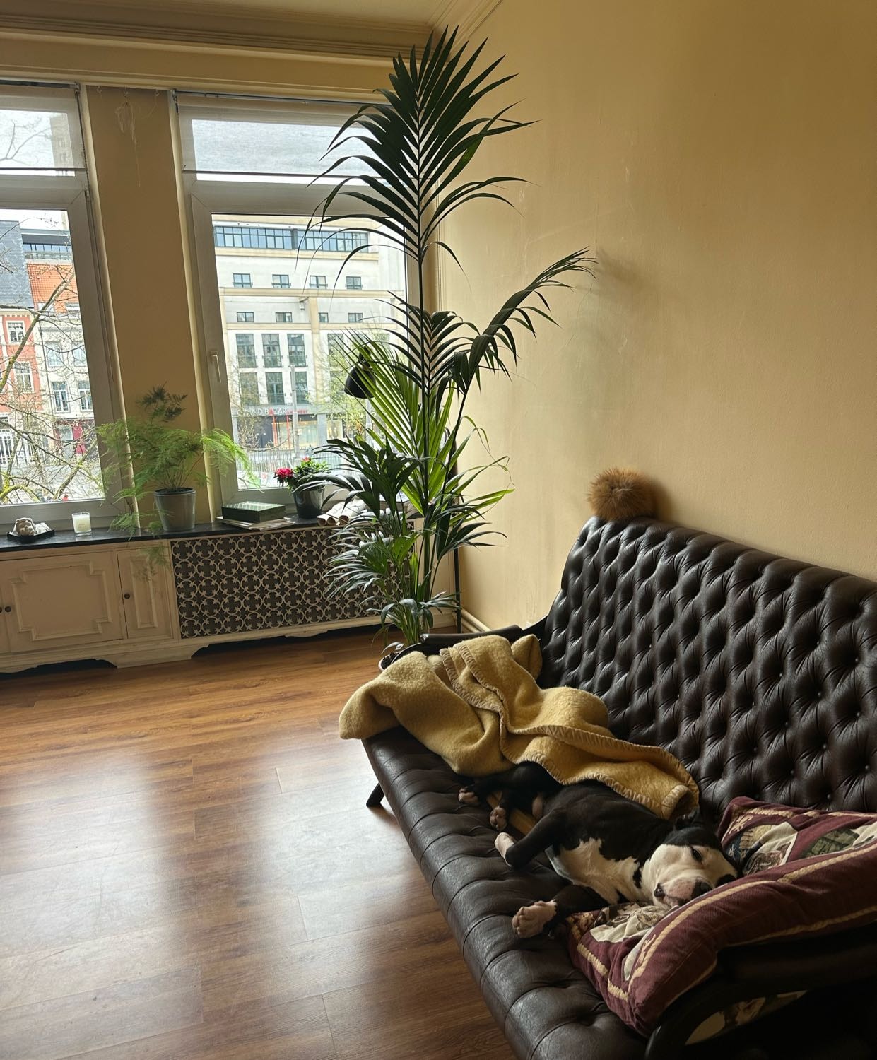 image-4