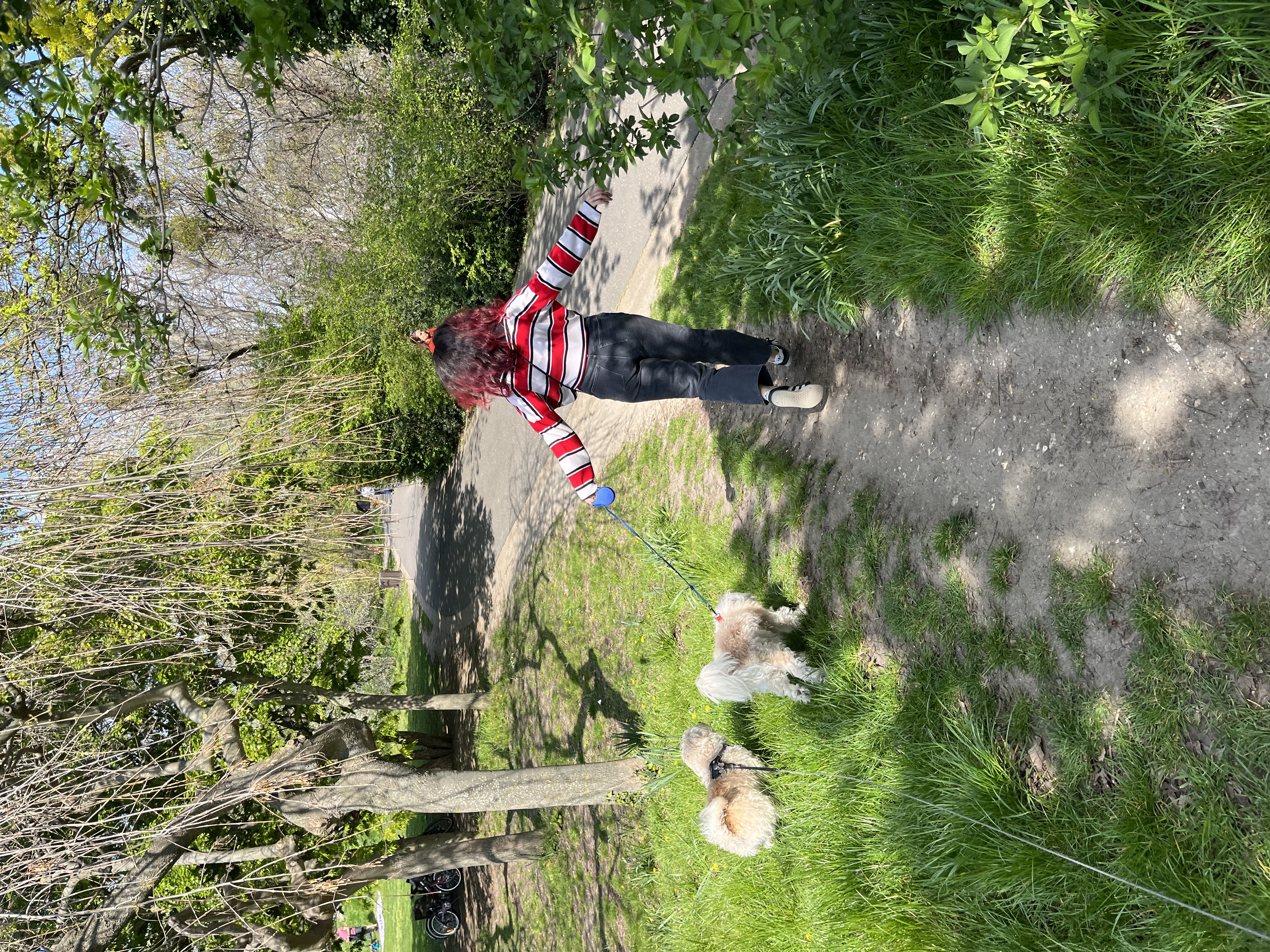 image-10
