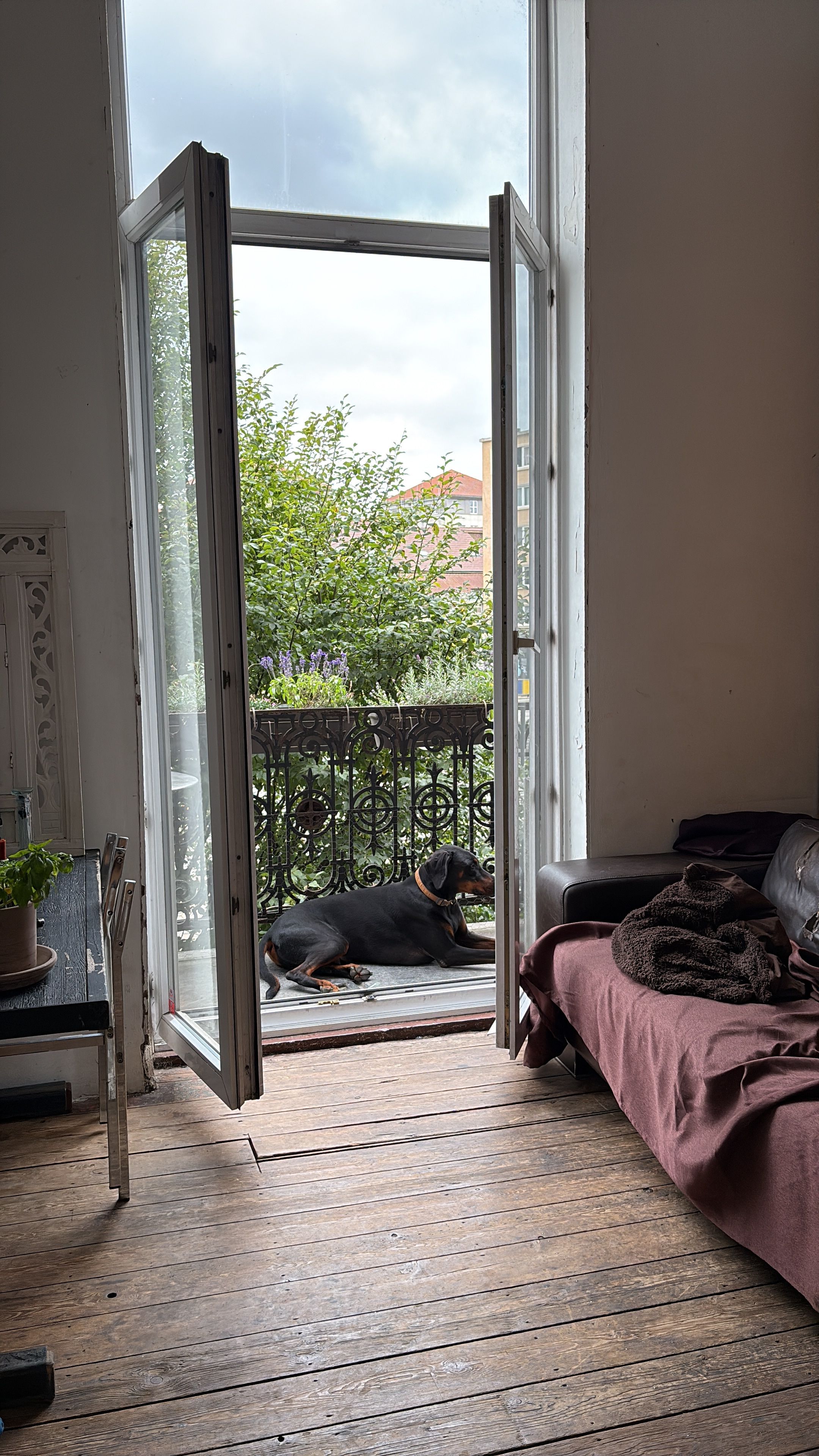 image-9