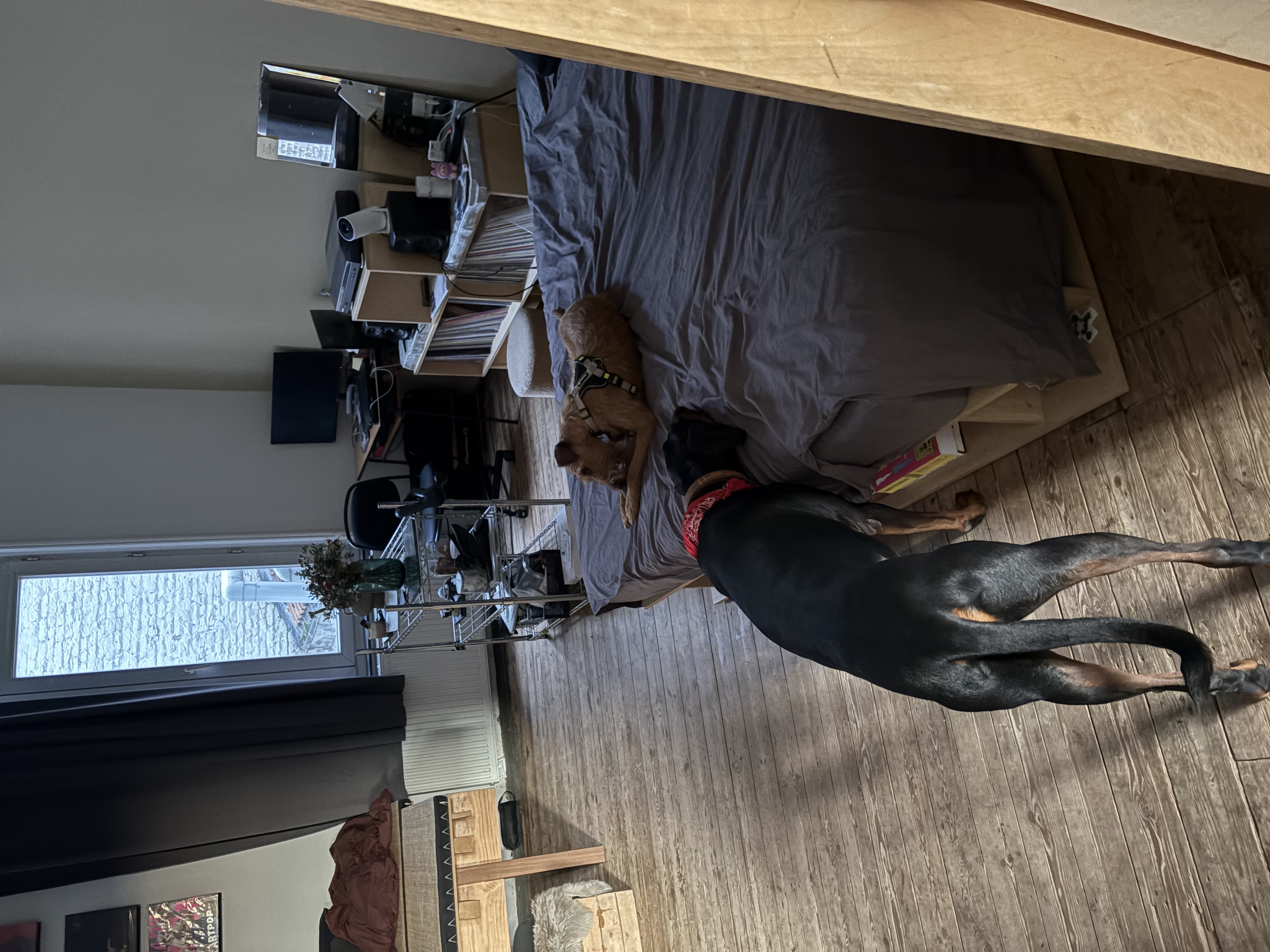 image-12