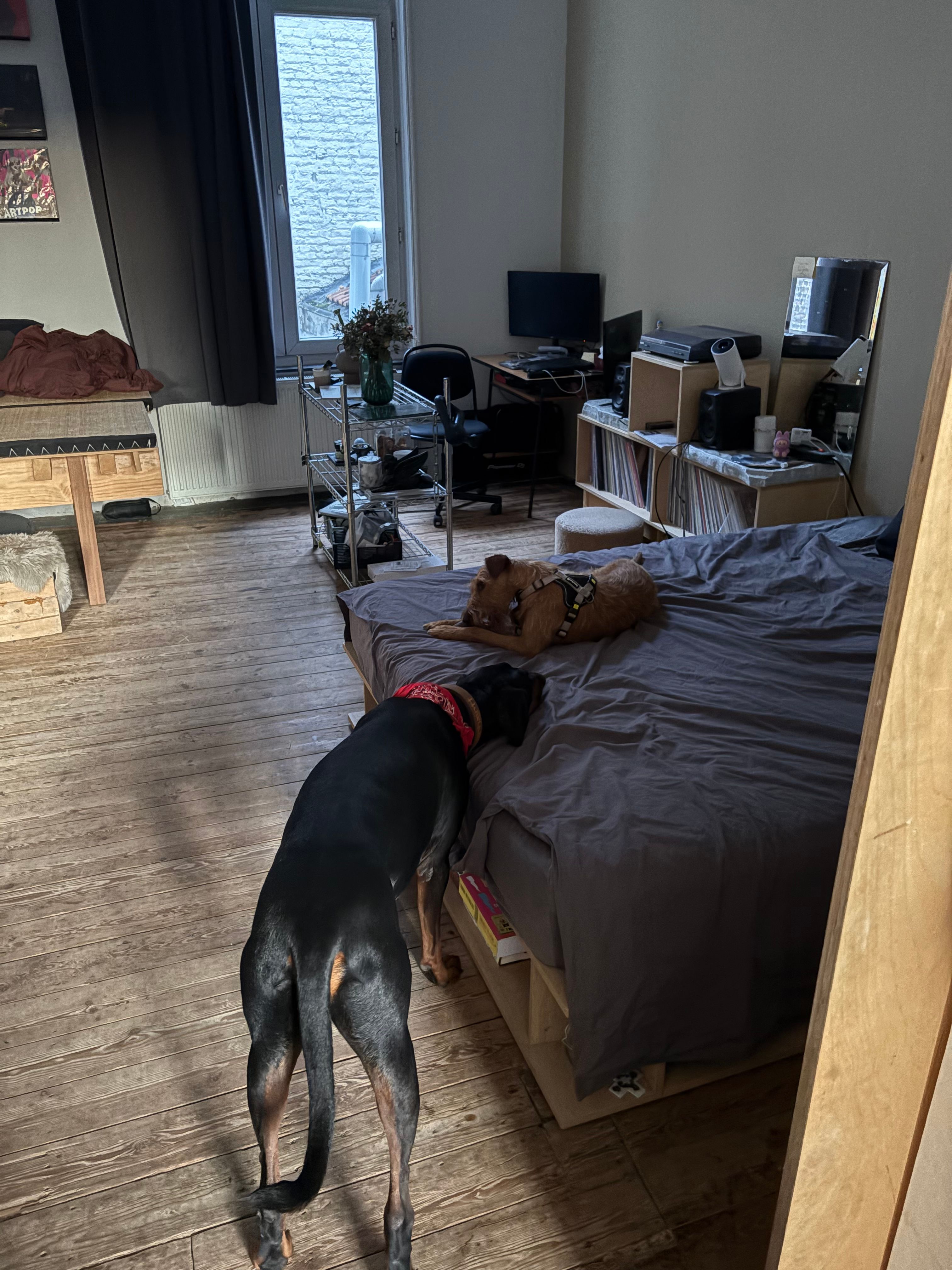 image-12
