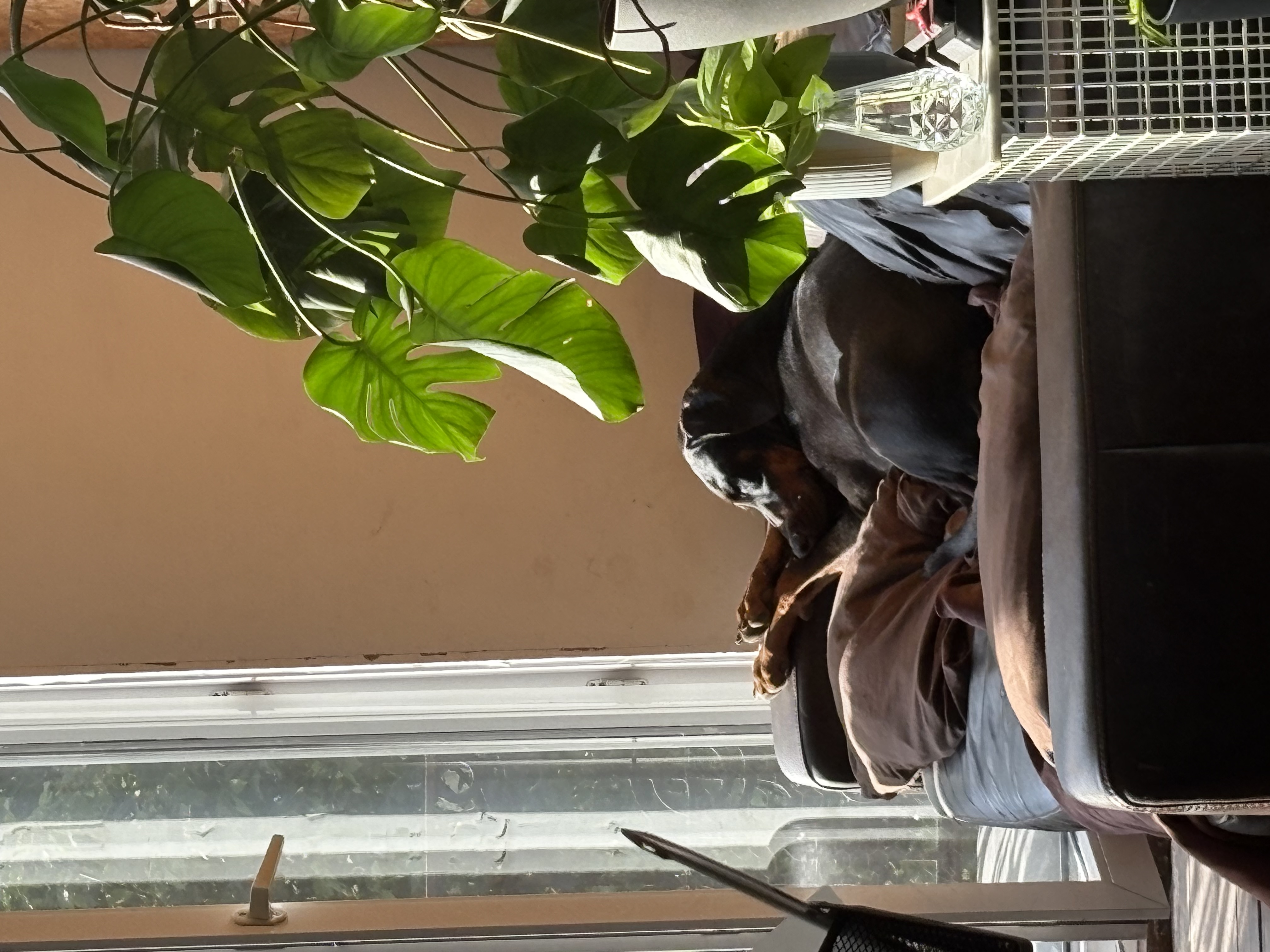 image-7