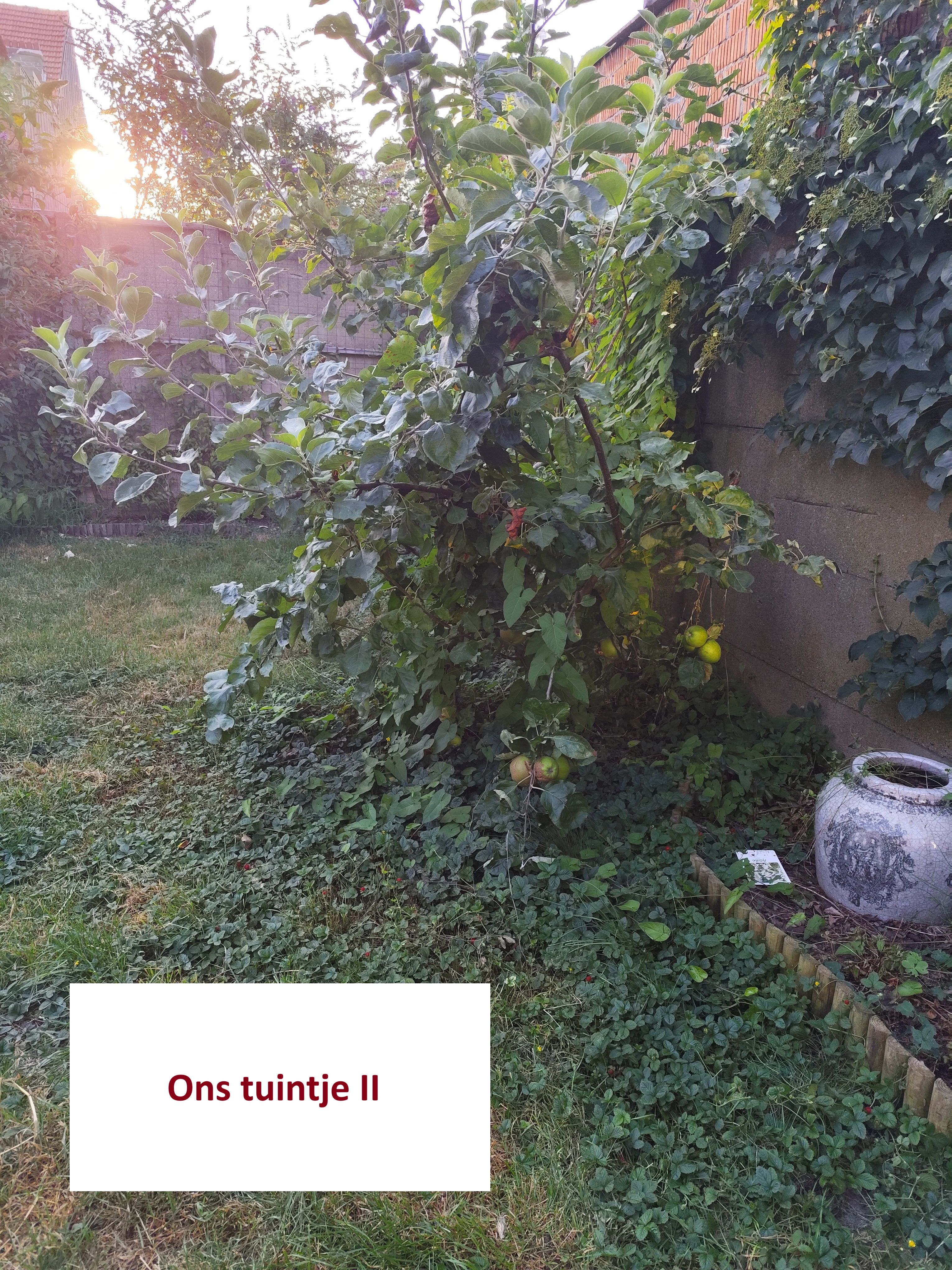 image-20