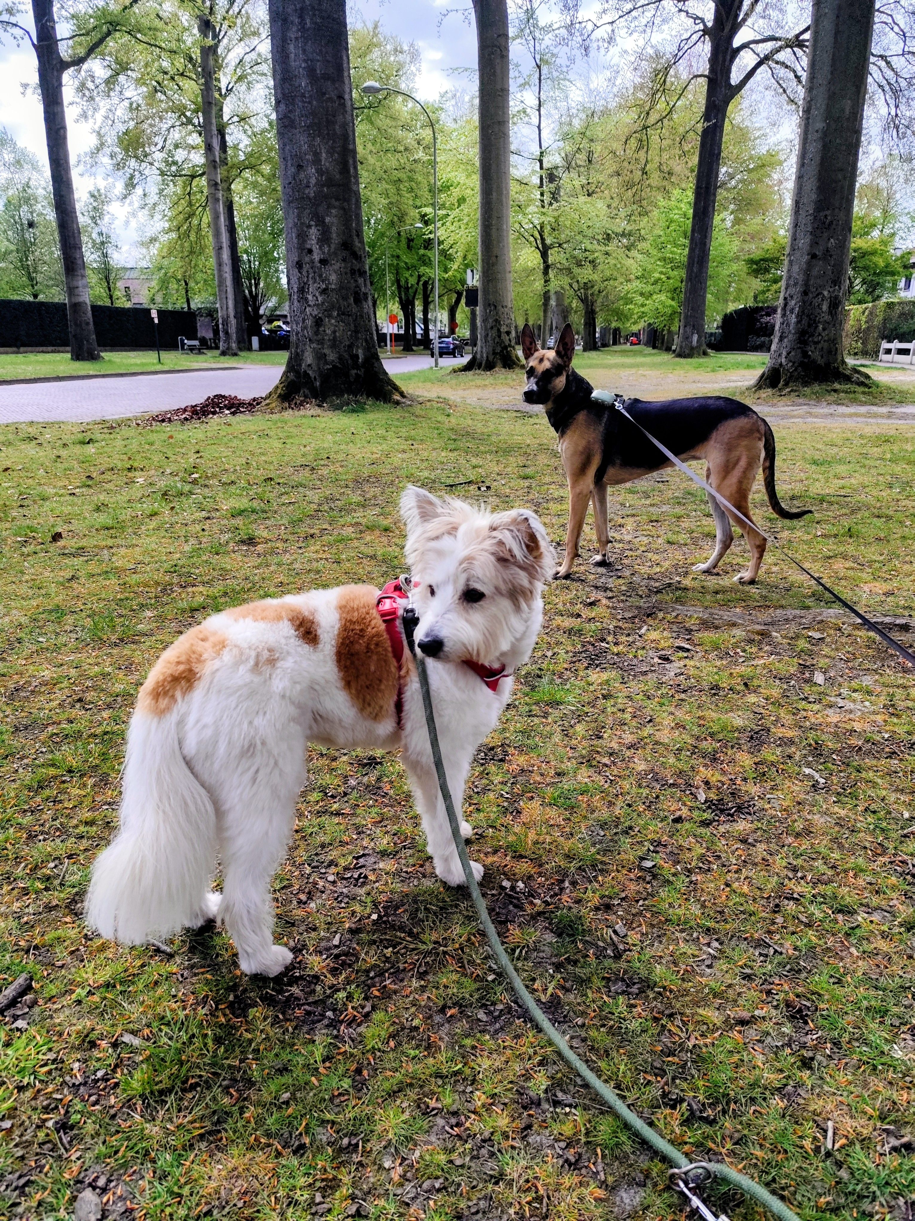 image-10