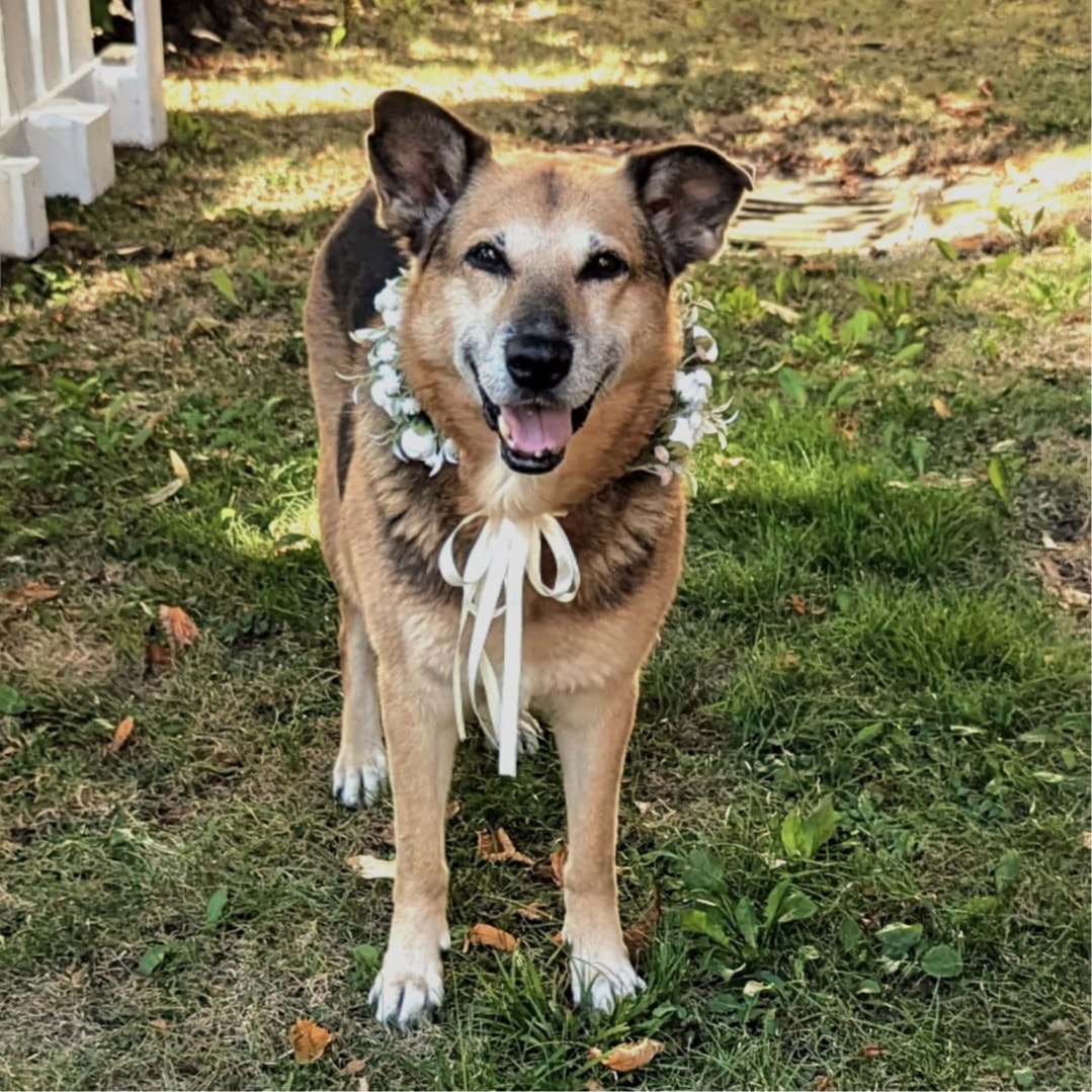 Gina