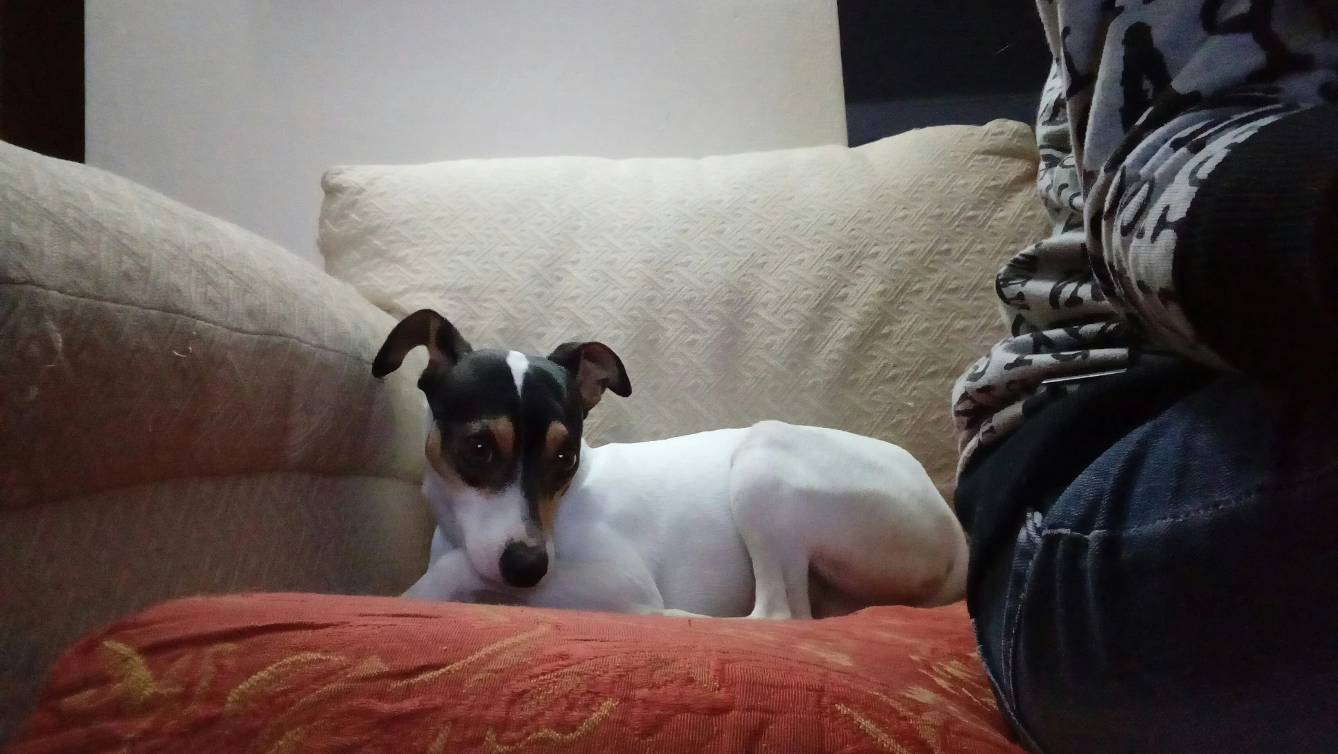image-27