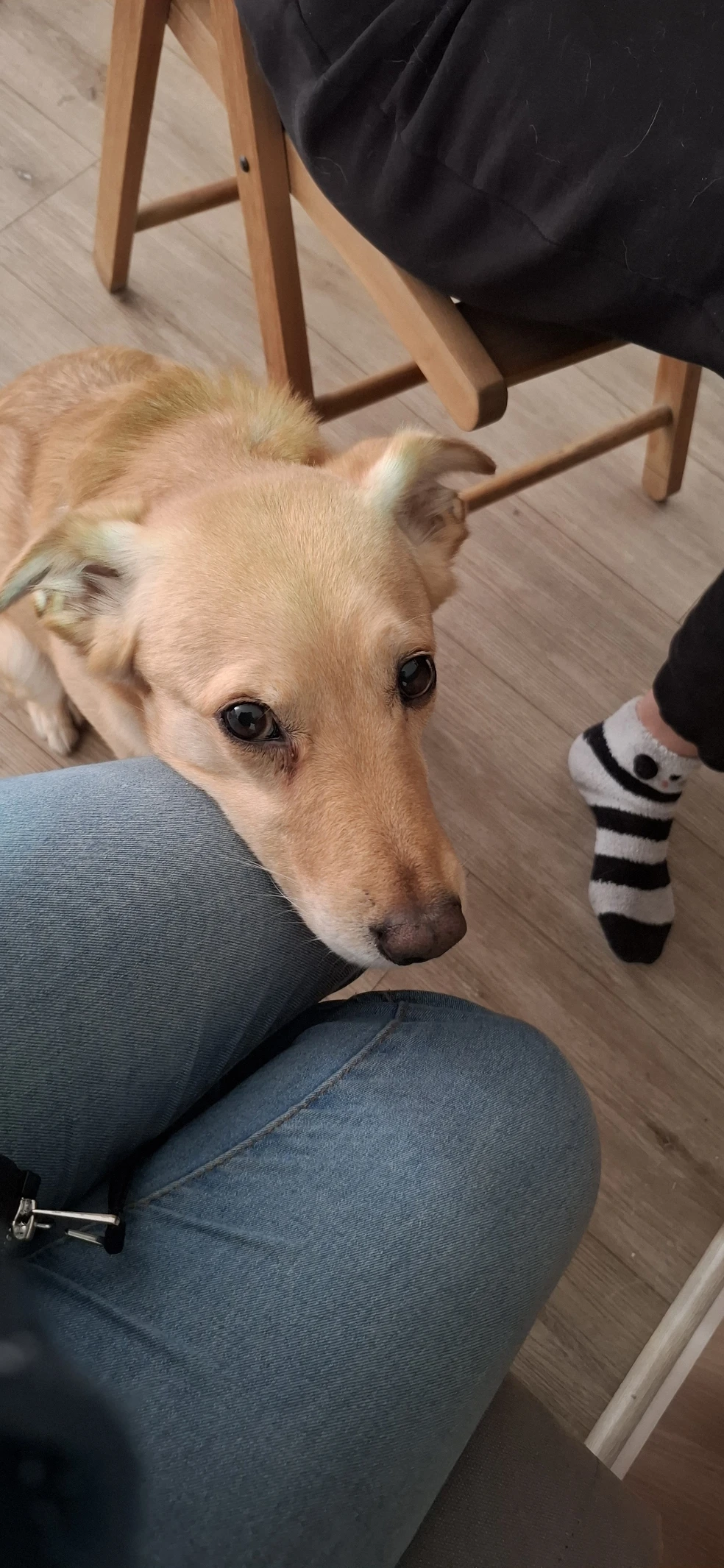 image-8