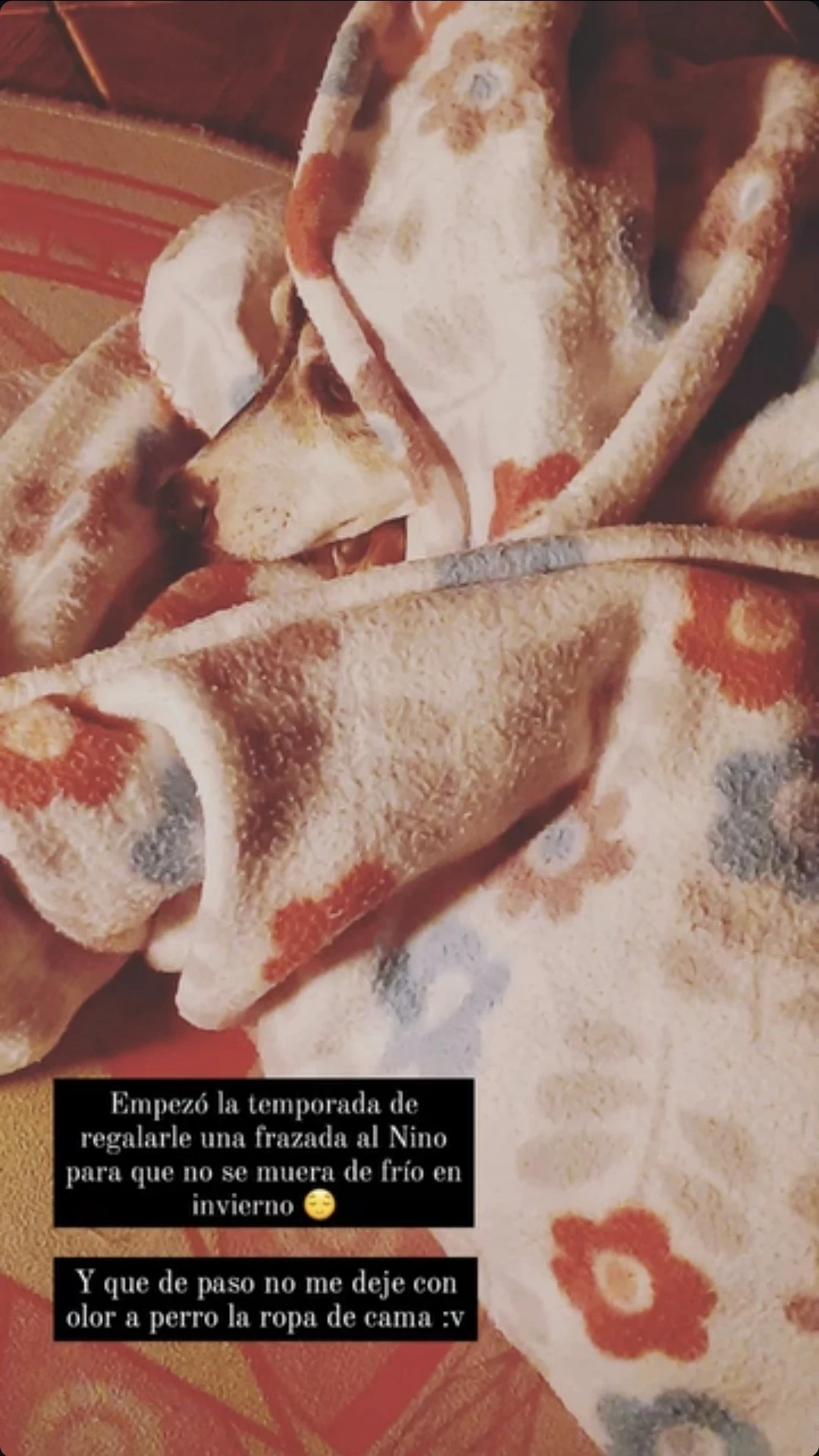 image-24