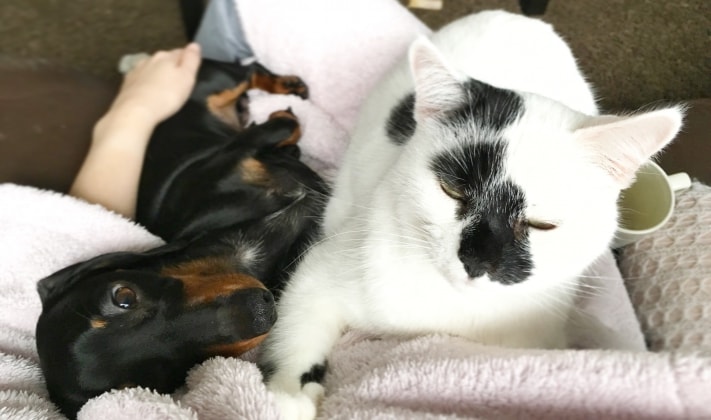 image-9