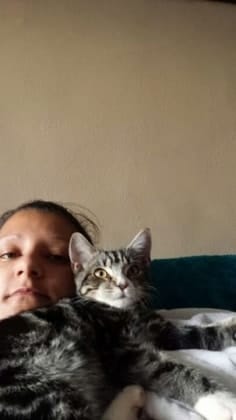 image-3
