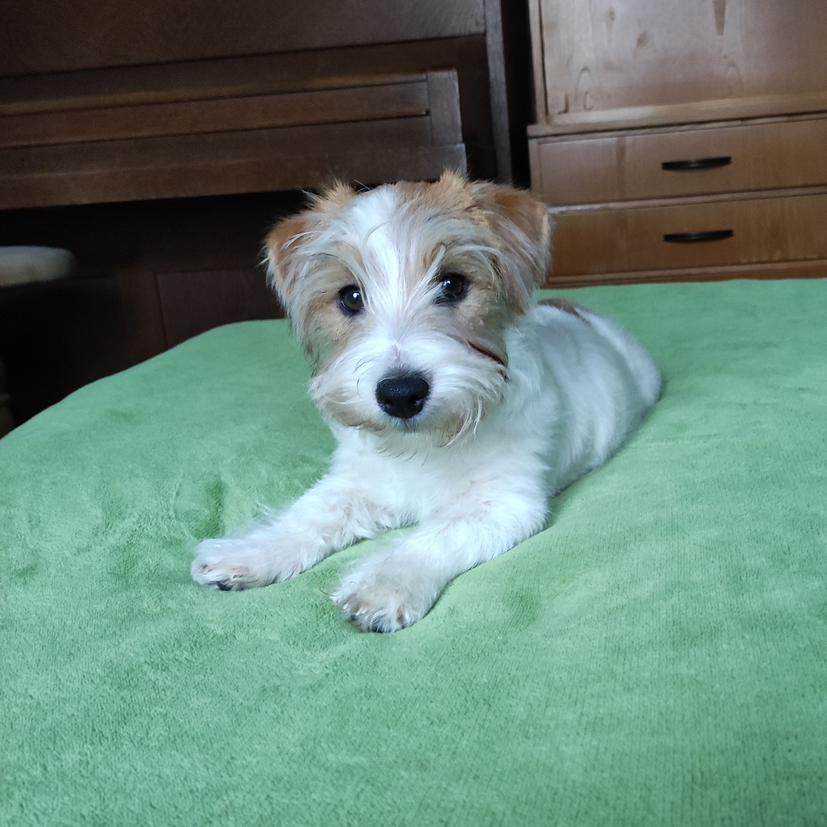 Betty 