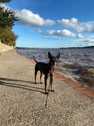 image-5