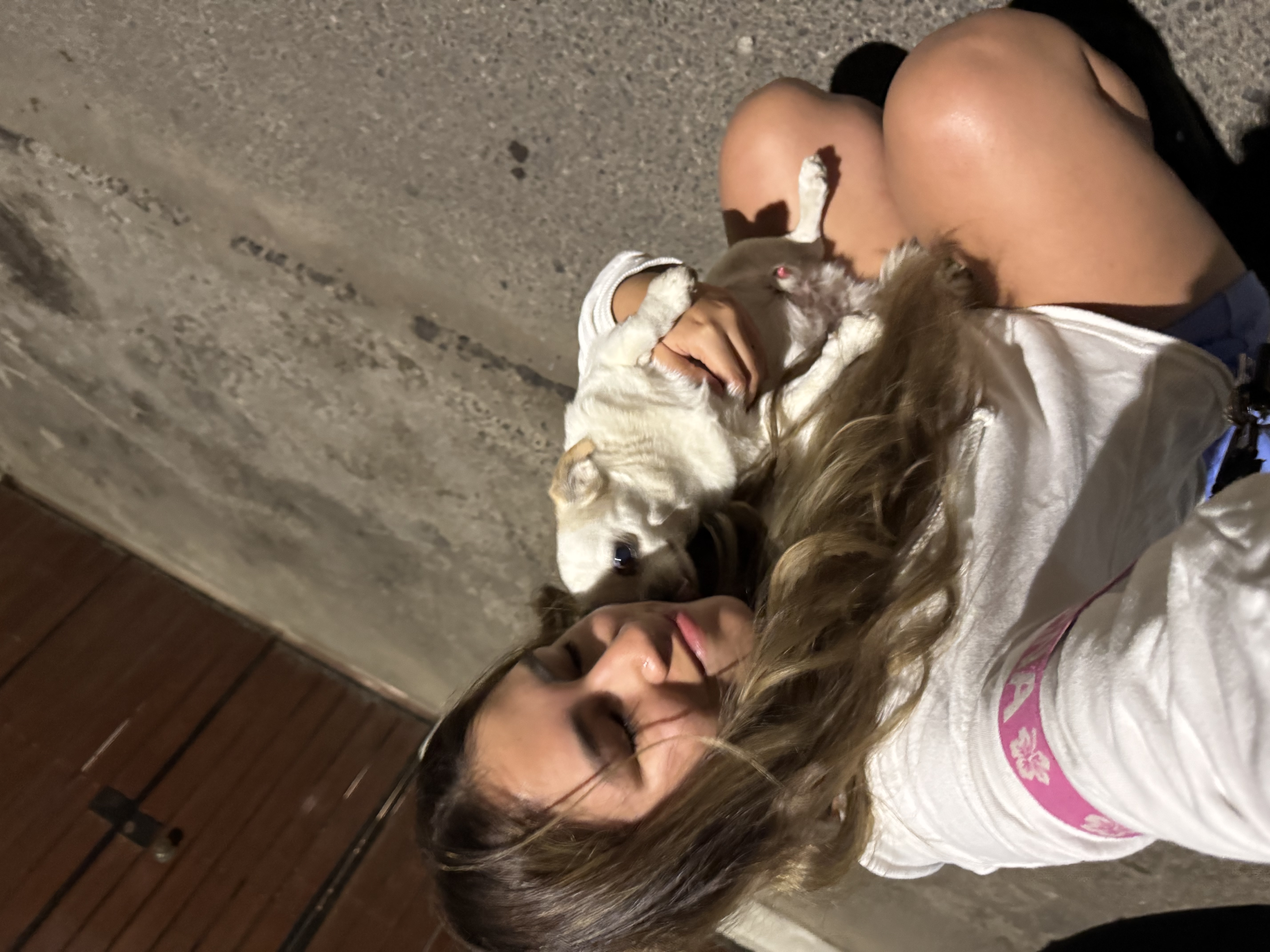 image-7
