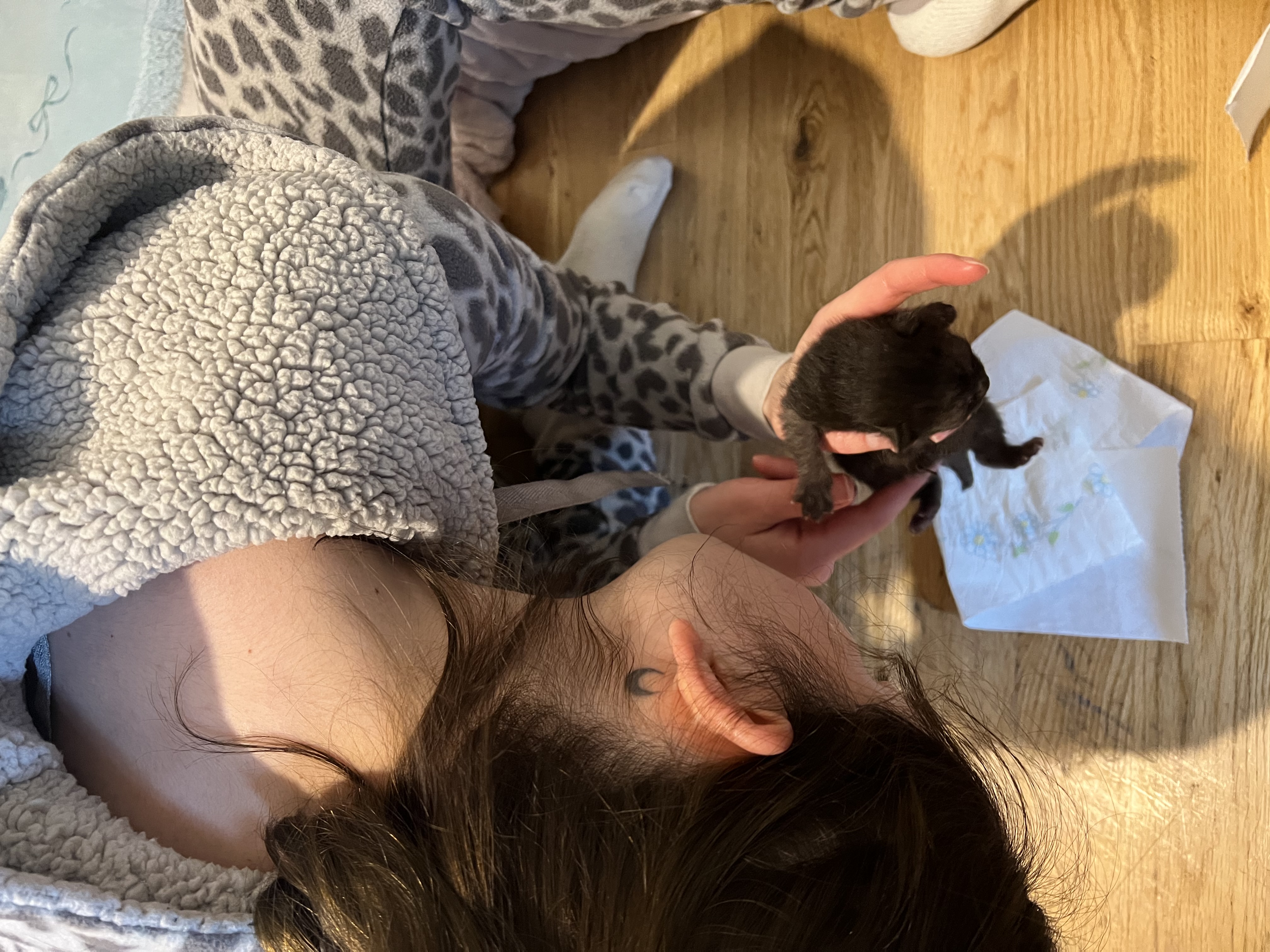image-8