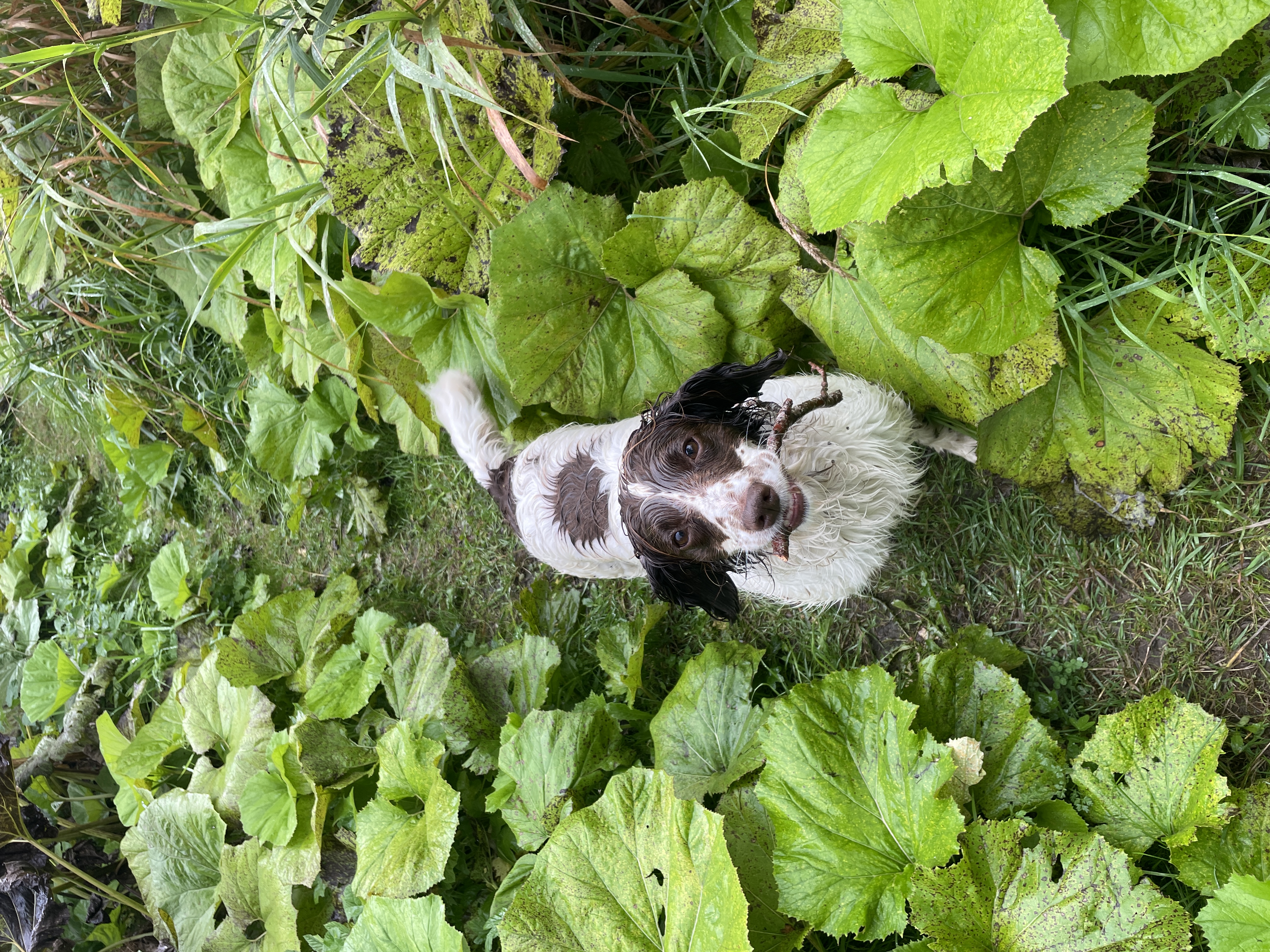 image-9