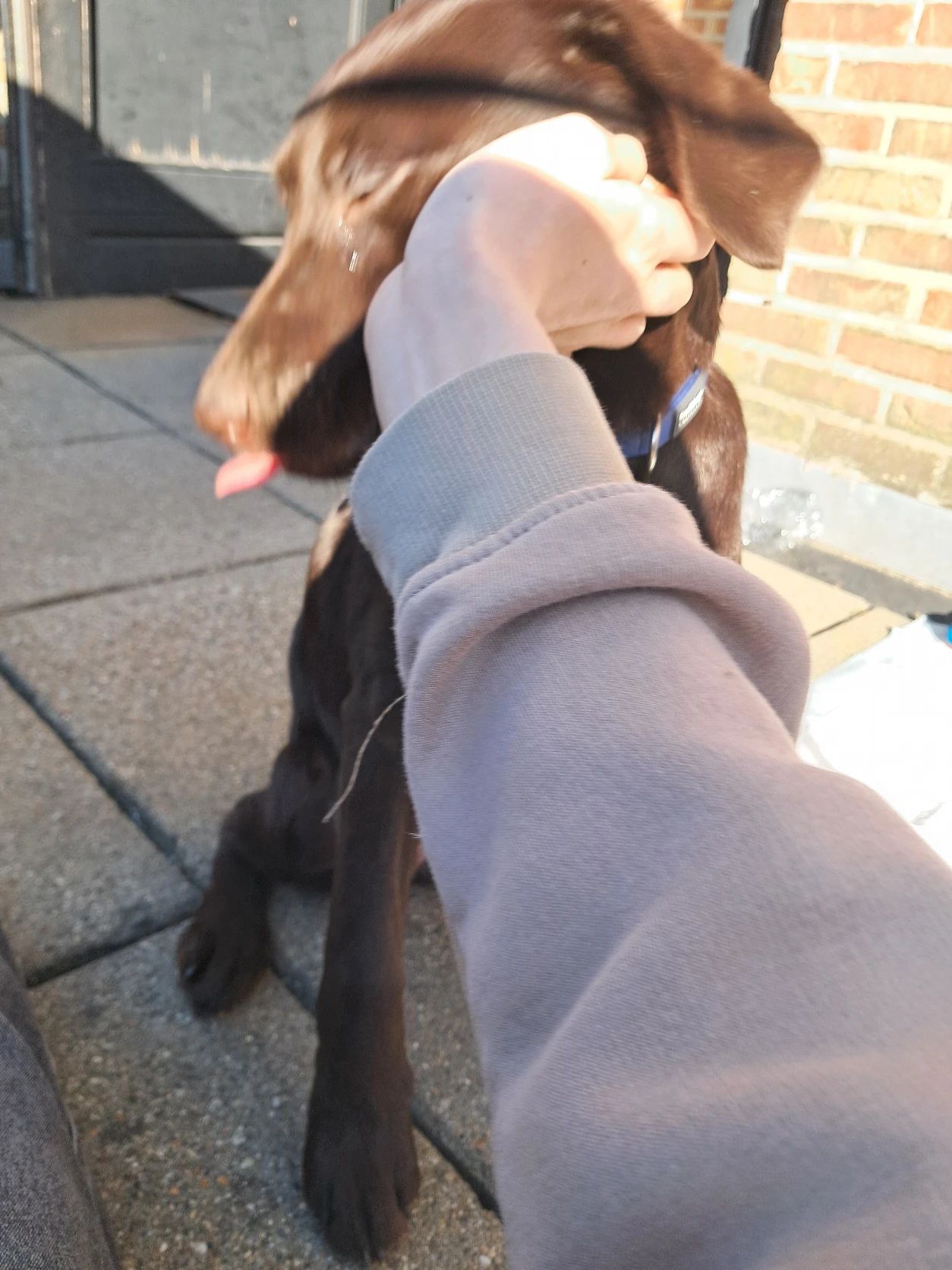 image-7