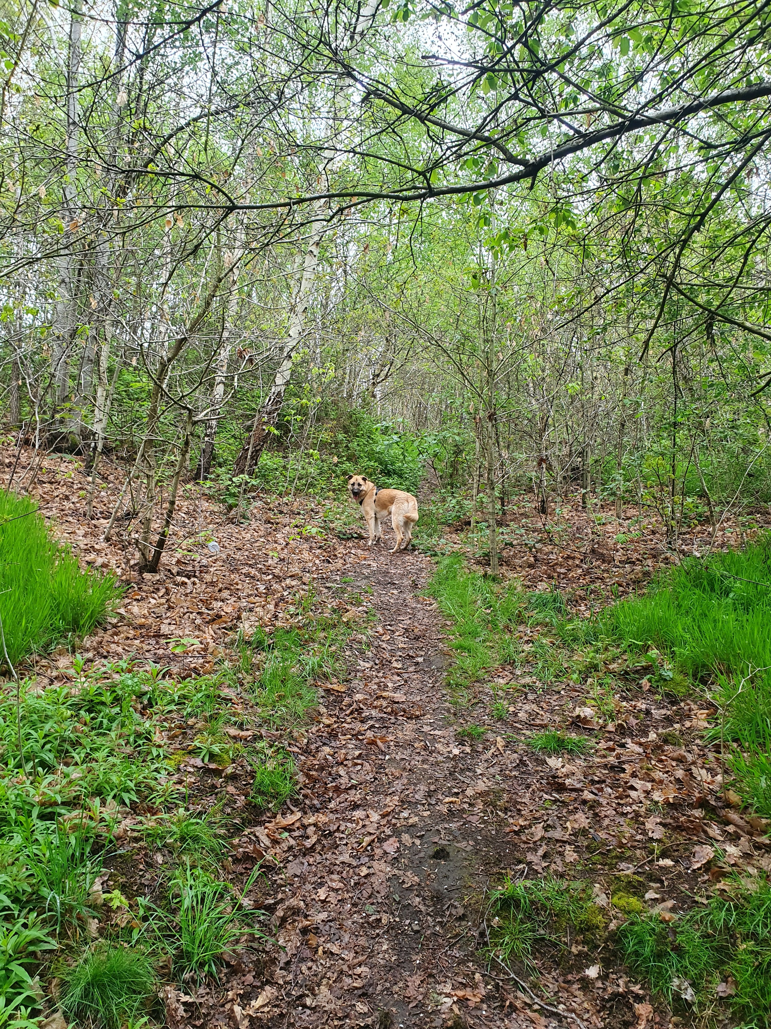image-9