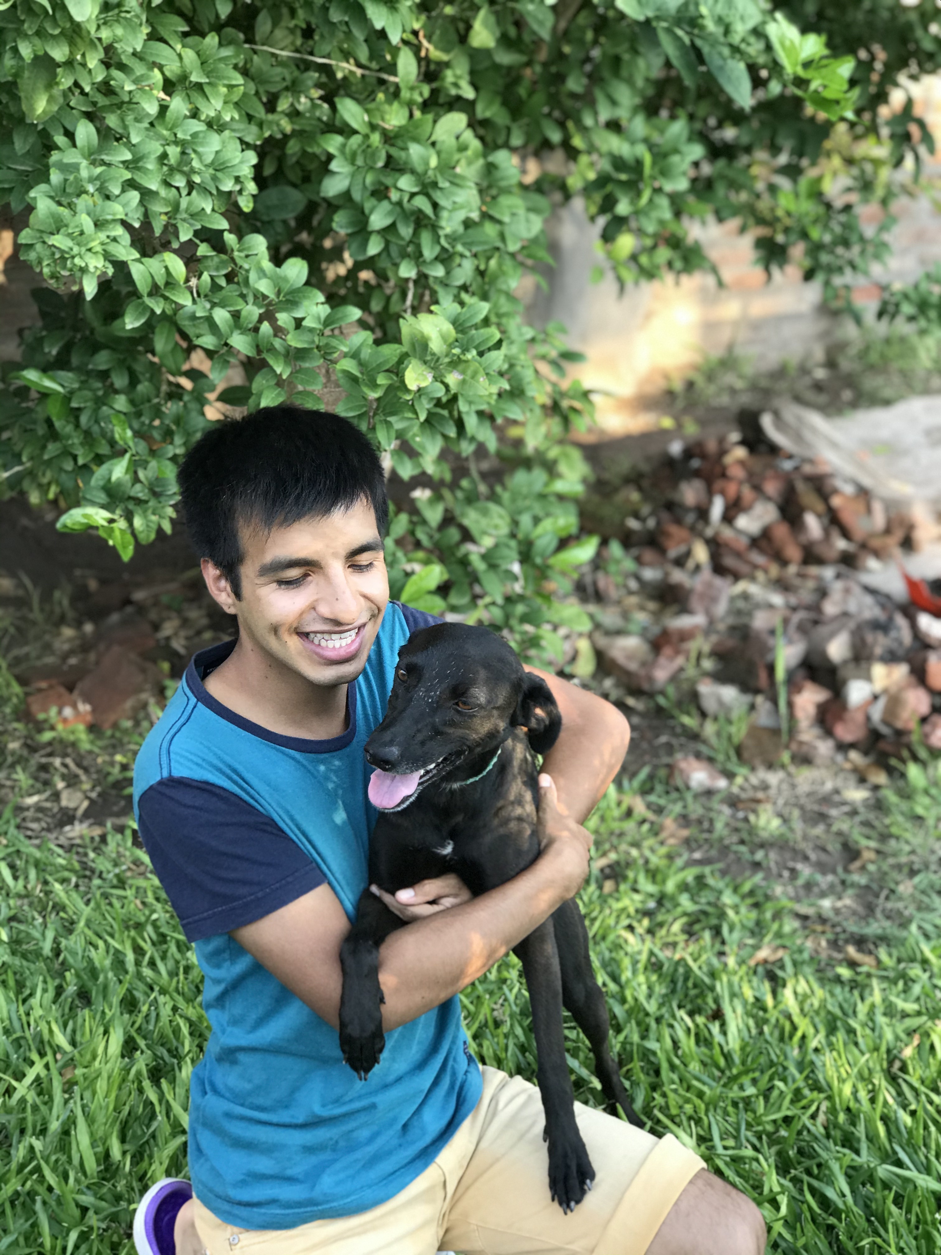 image-6