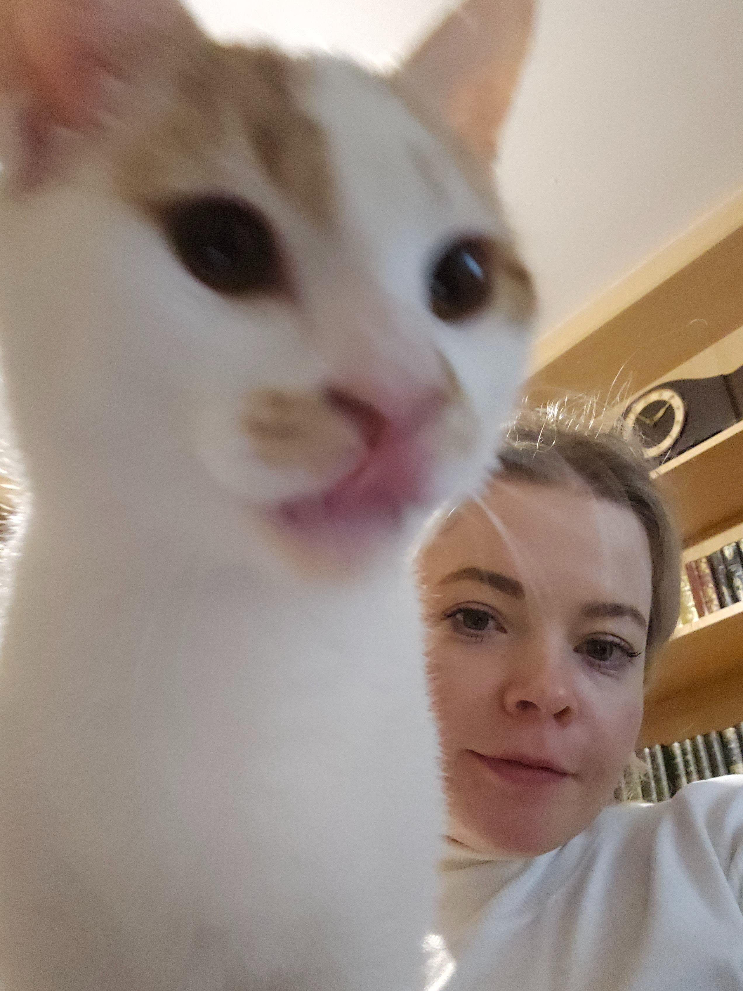 image-7