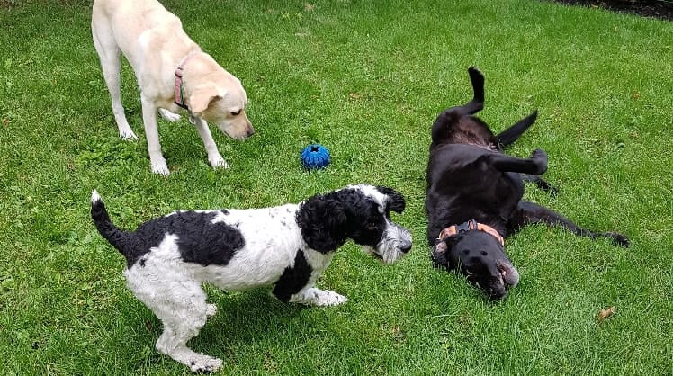 image-16