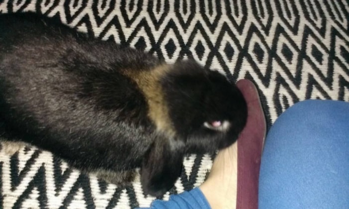 image-6