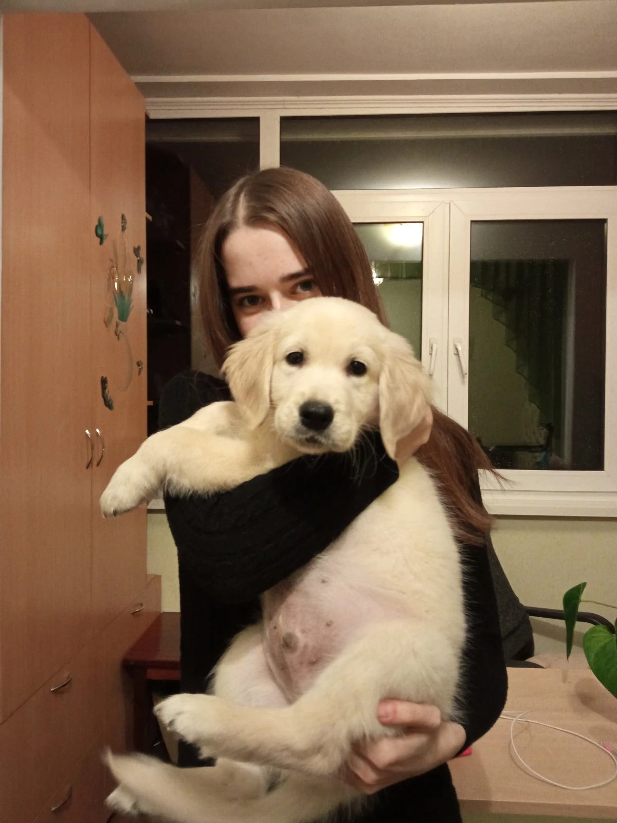 image-7