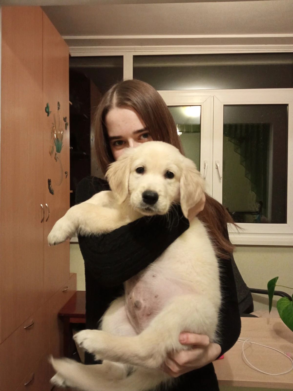 image-7