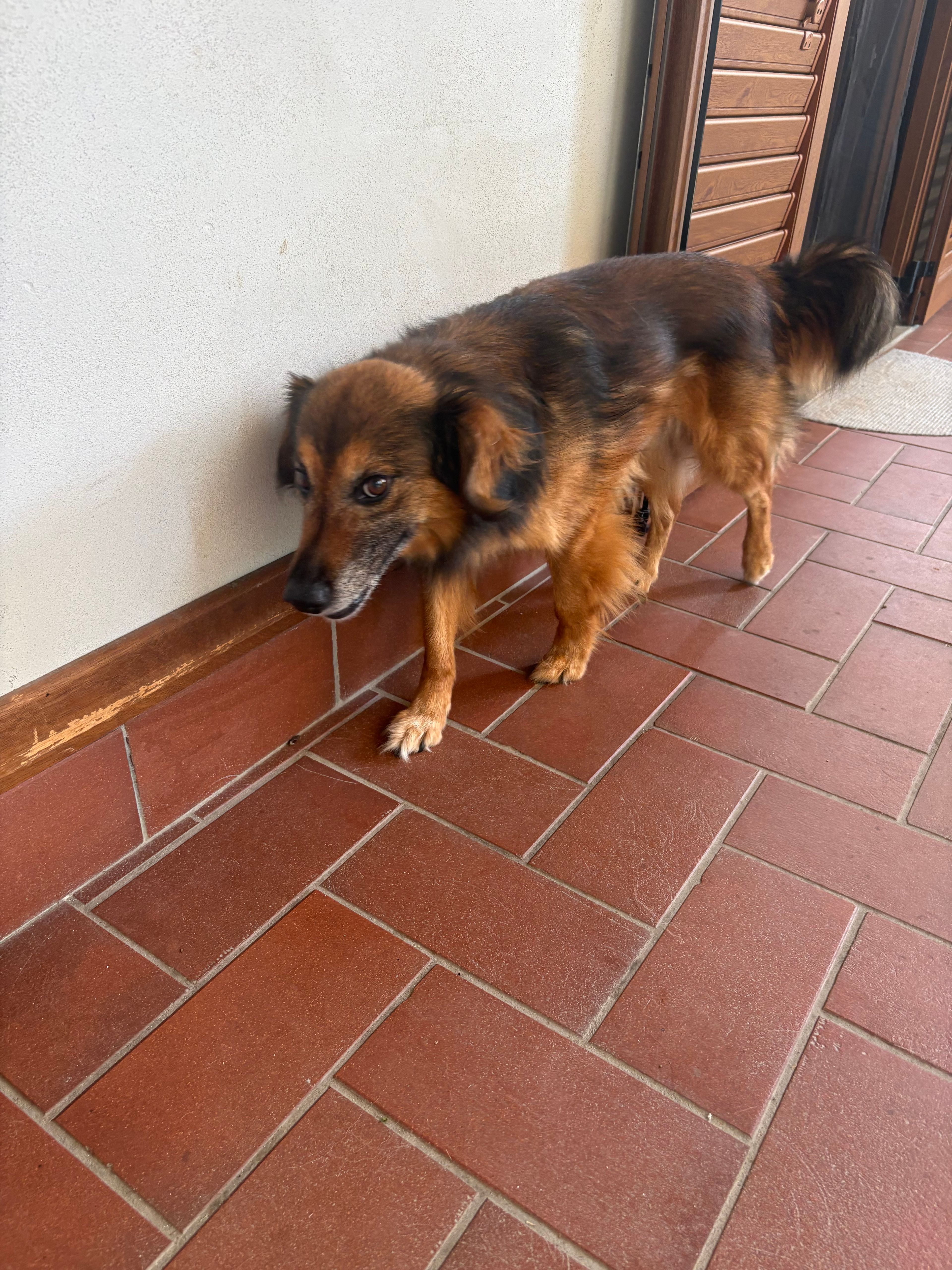 image-8