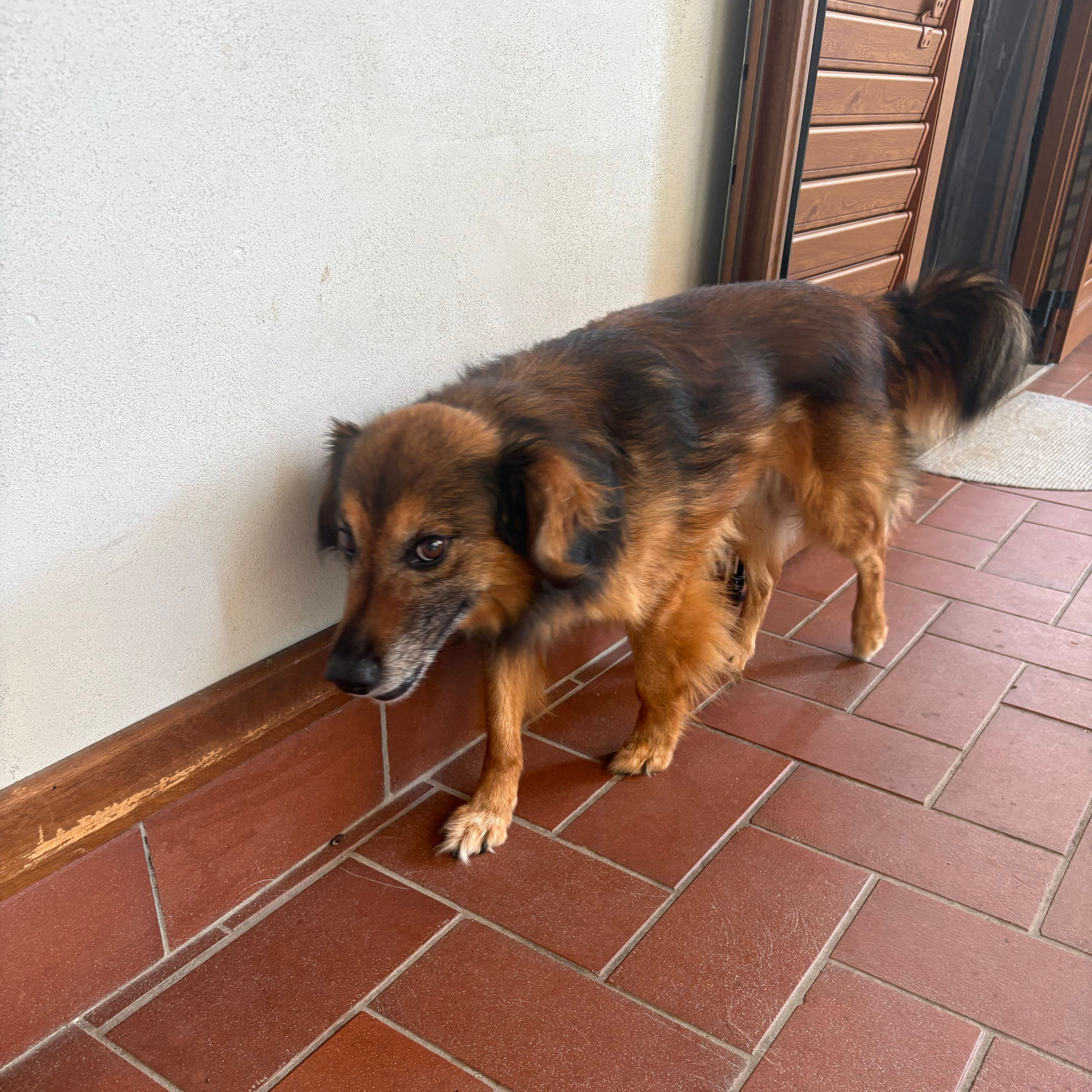 Max