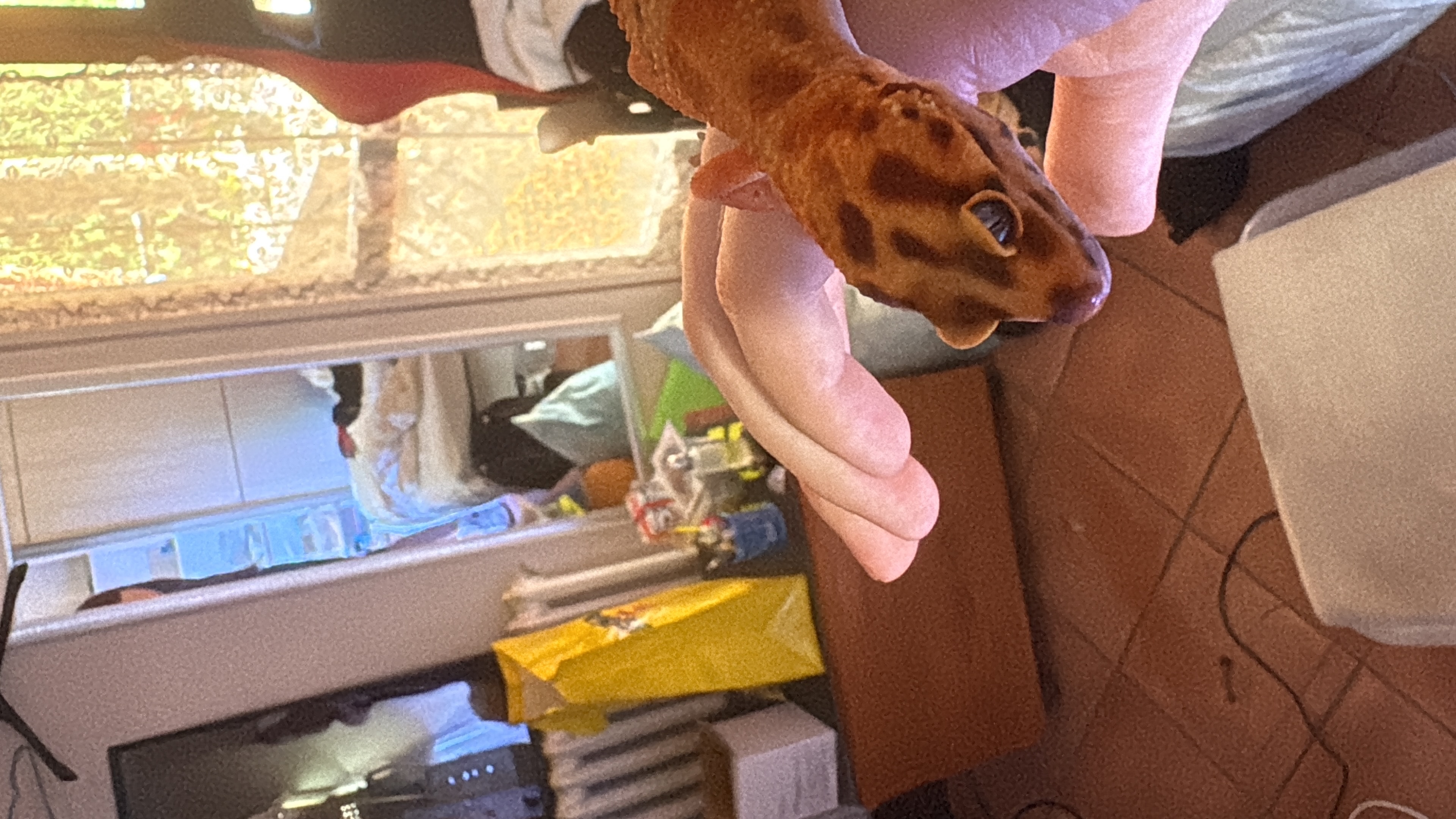 image-4