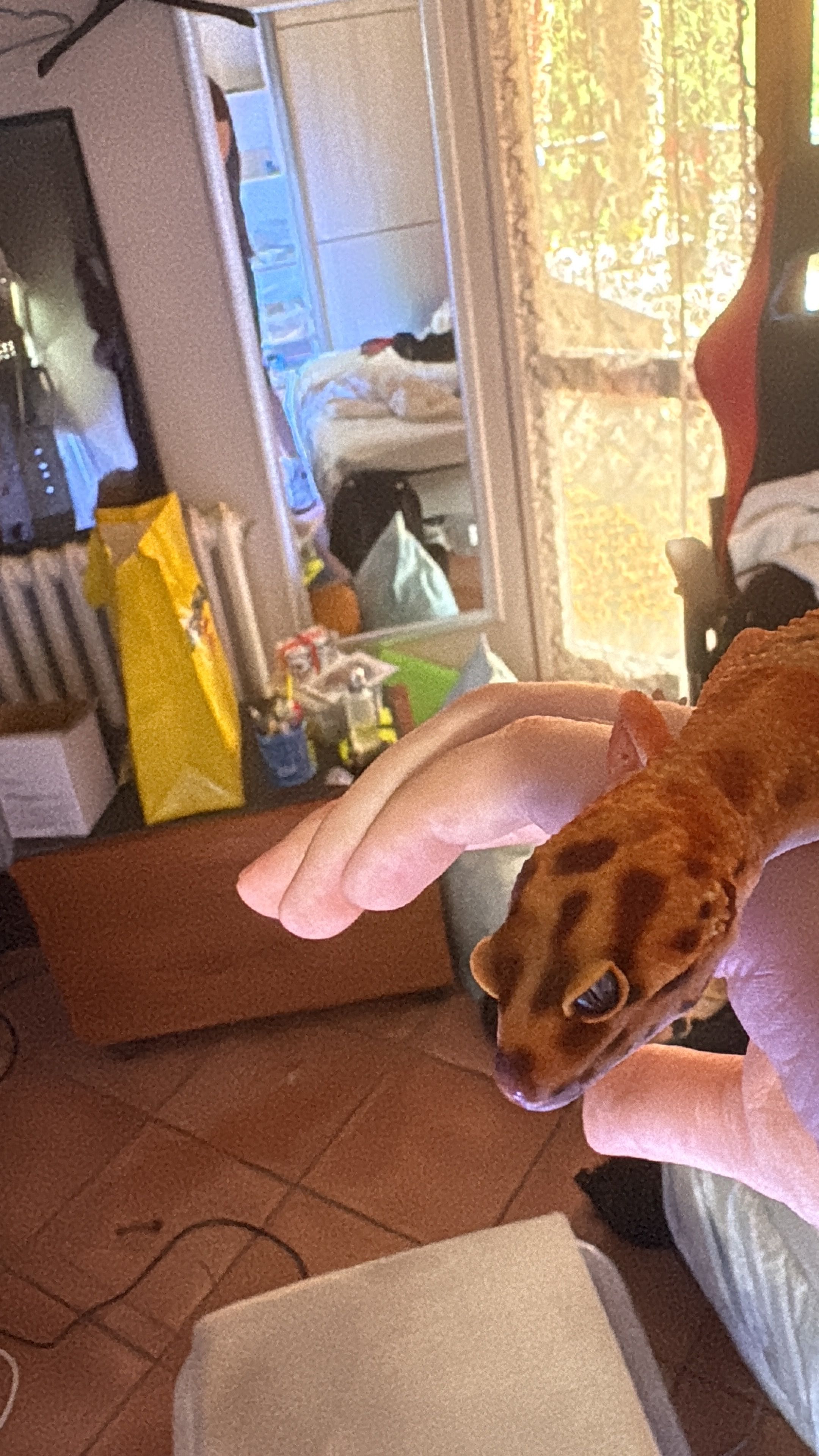 image-4