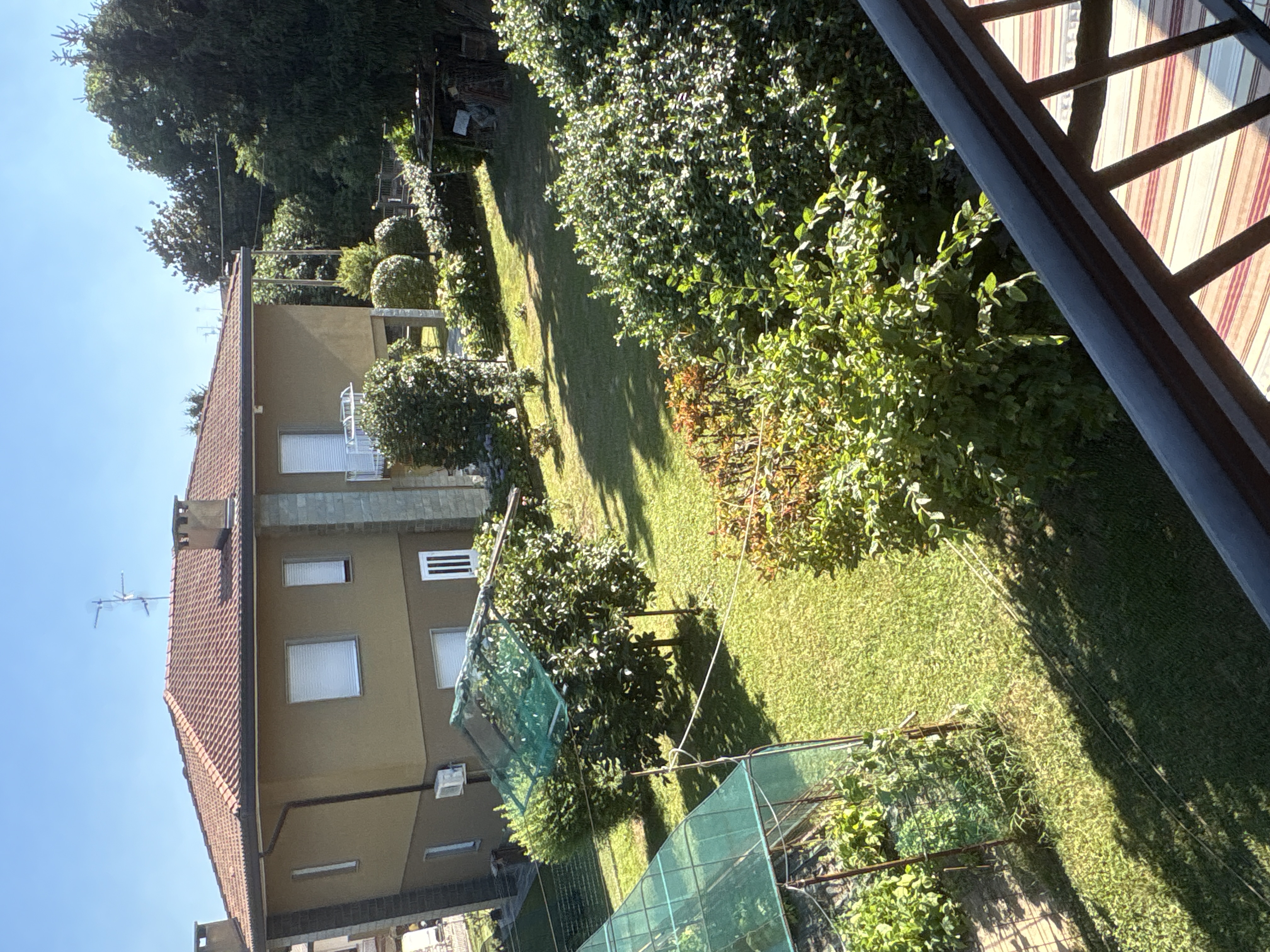 image-17