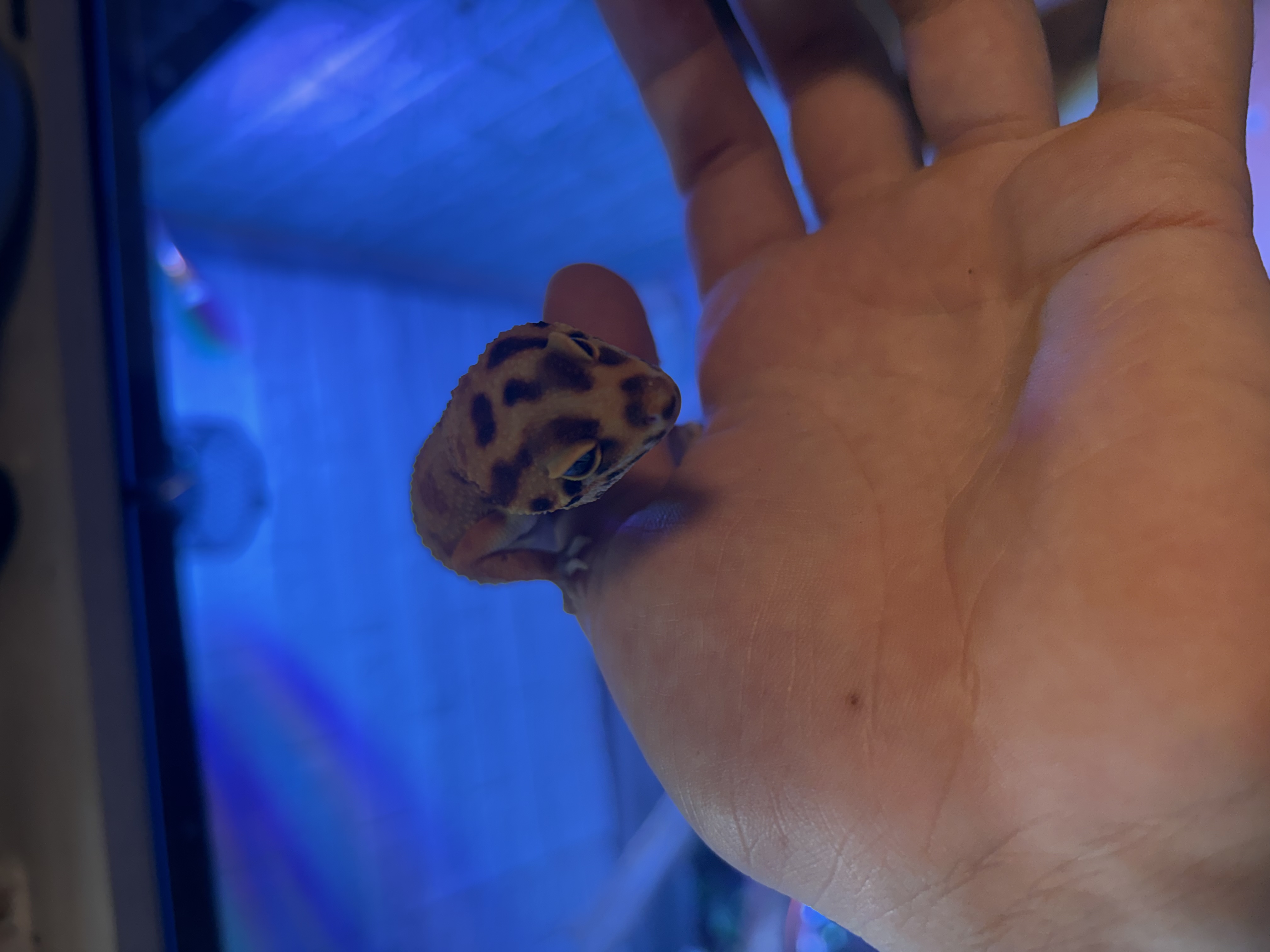 image-6