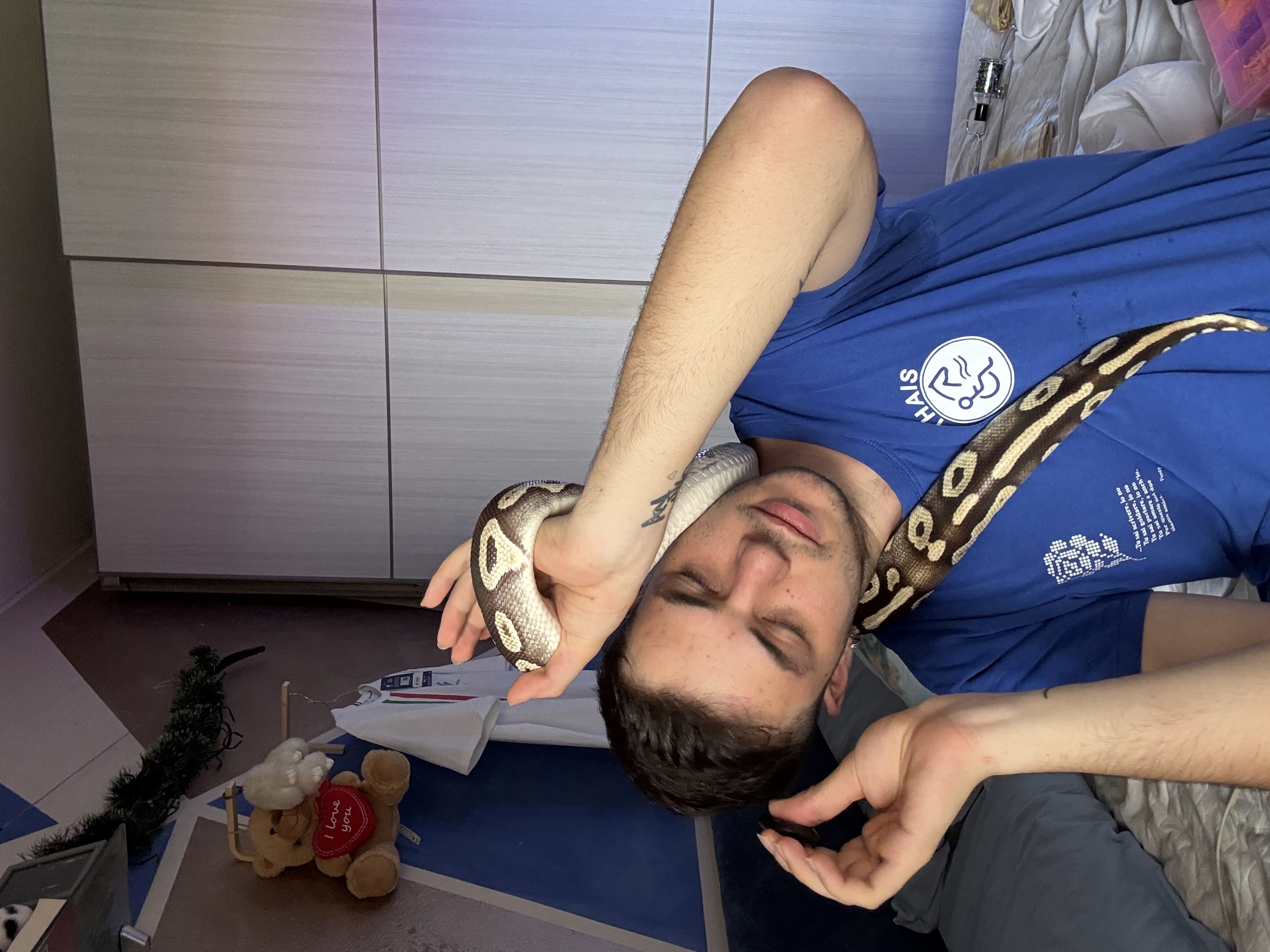 image-8