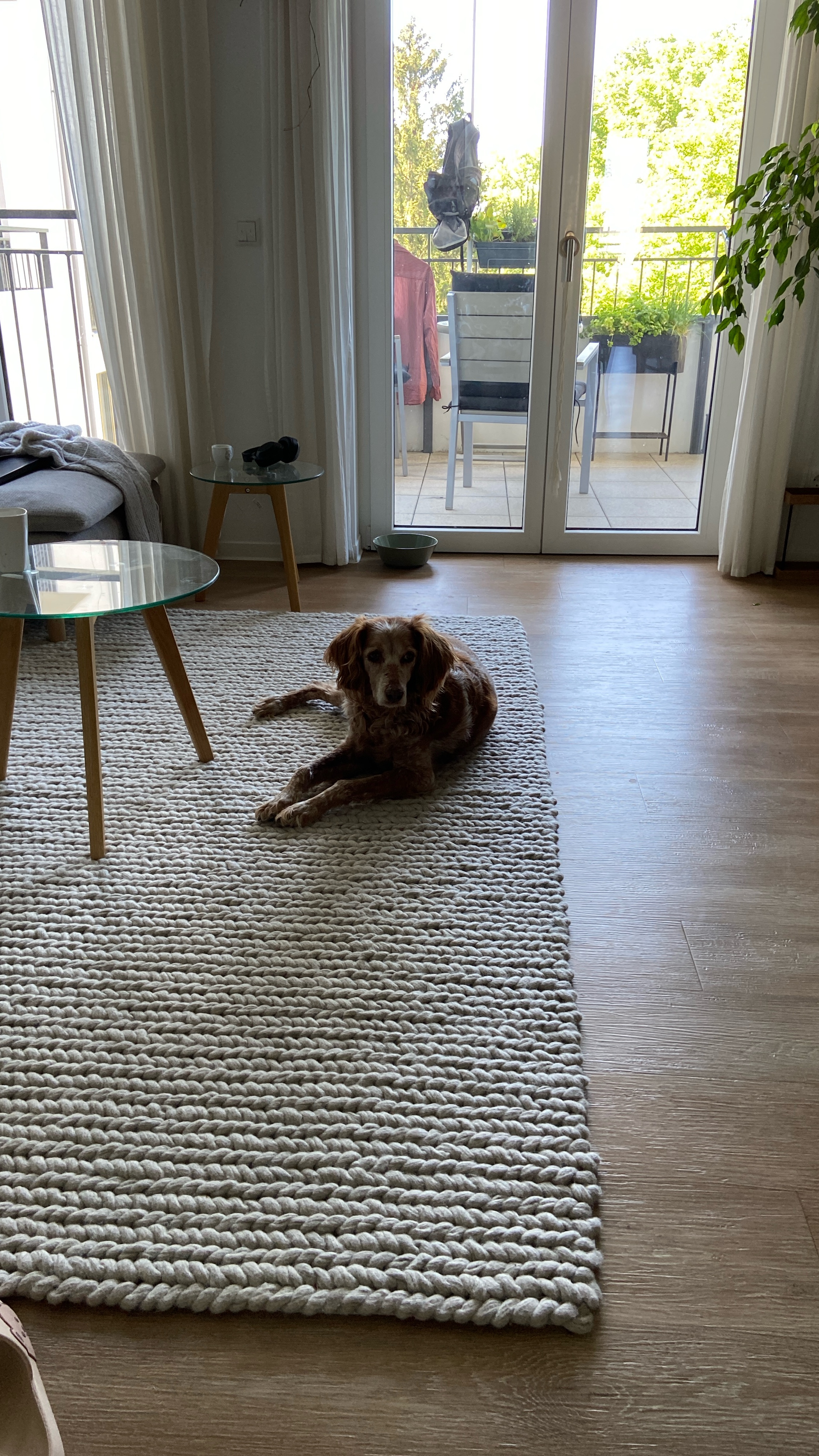 image-18