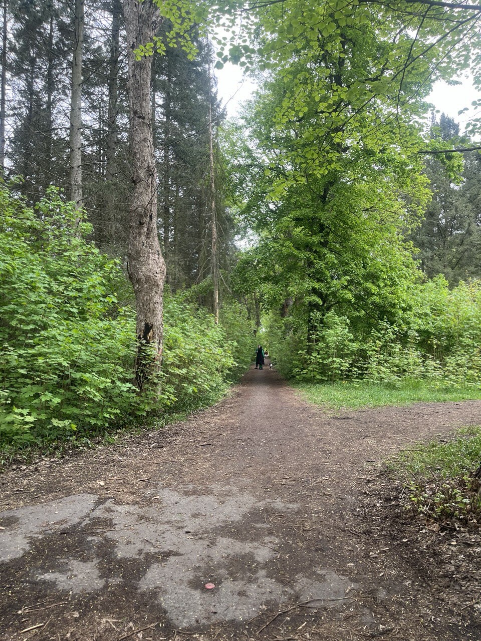 image-22