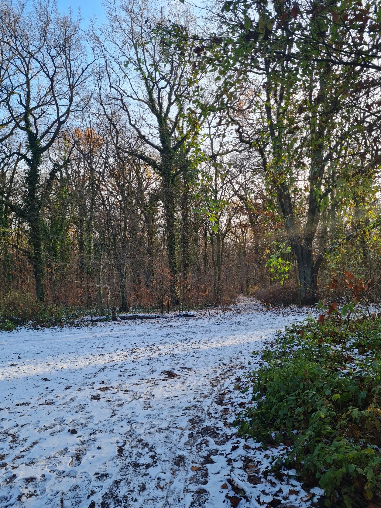 image-11