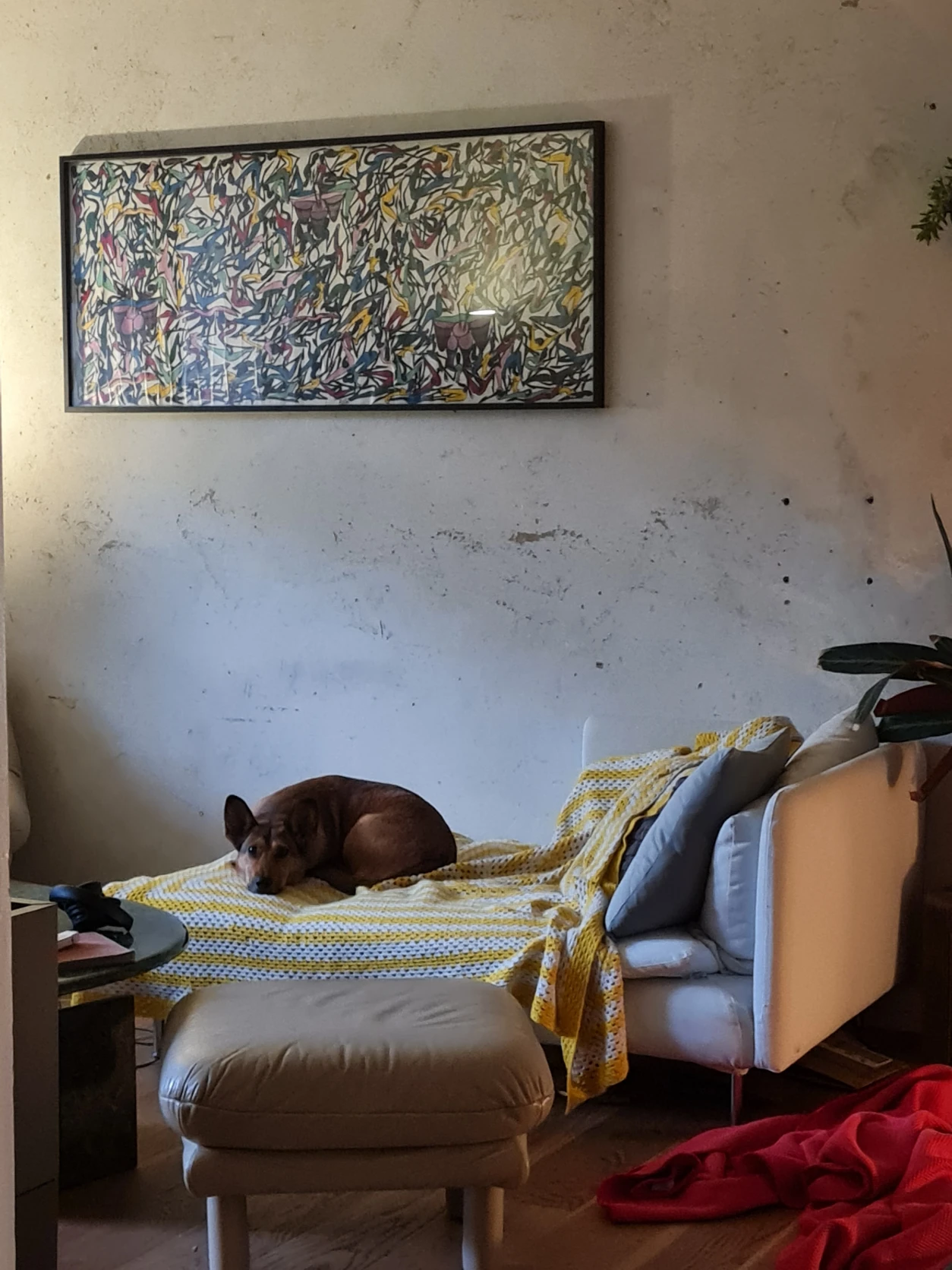 image-5