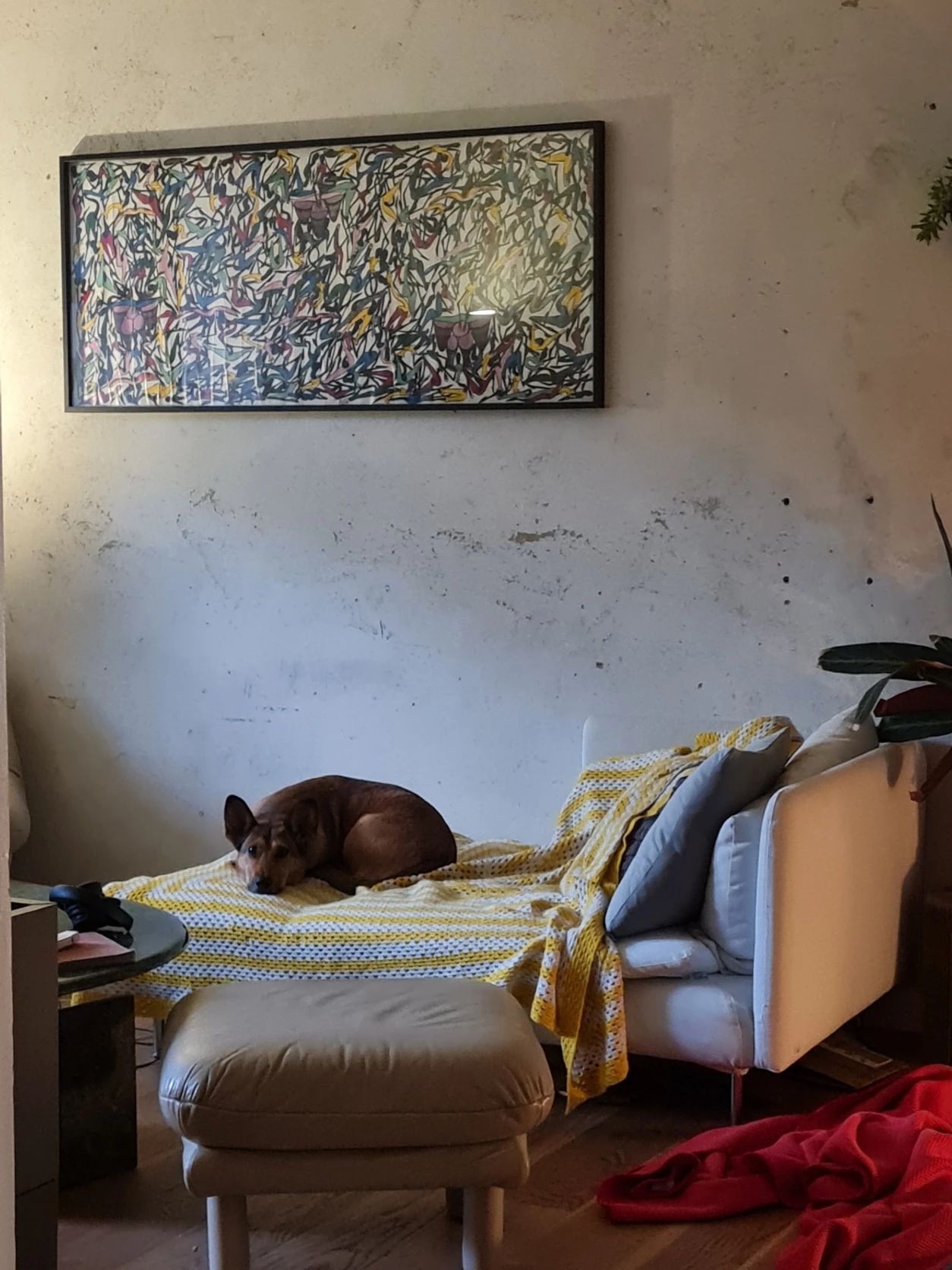 image-5