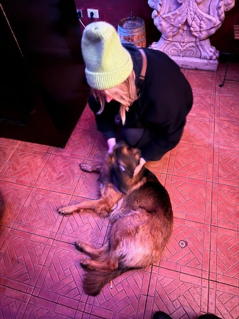 image-6