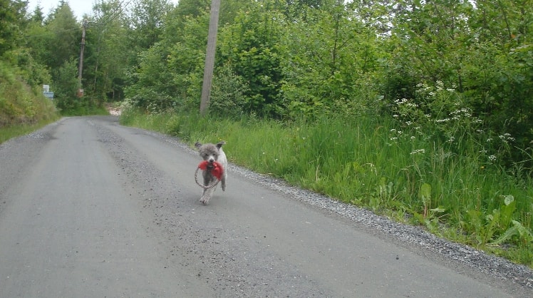 image-0