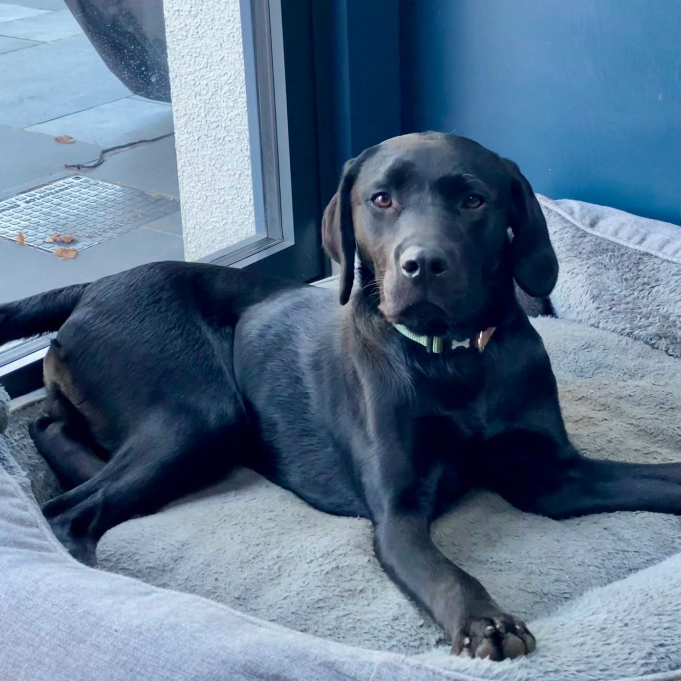 Max