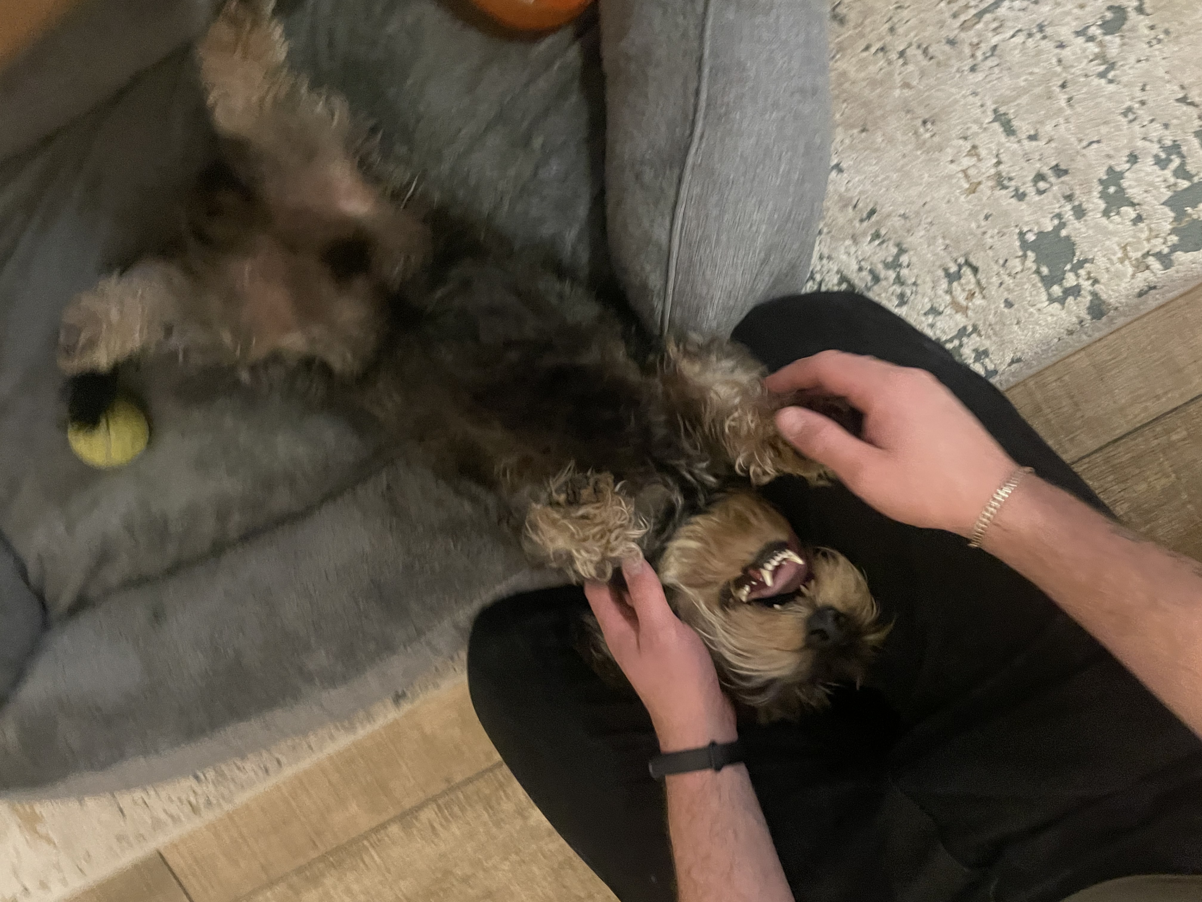 image-14