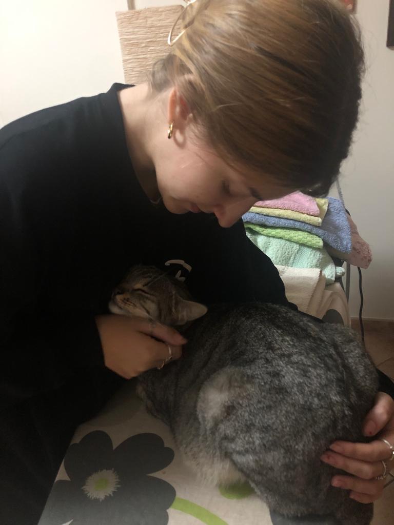 image-7